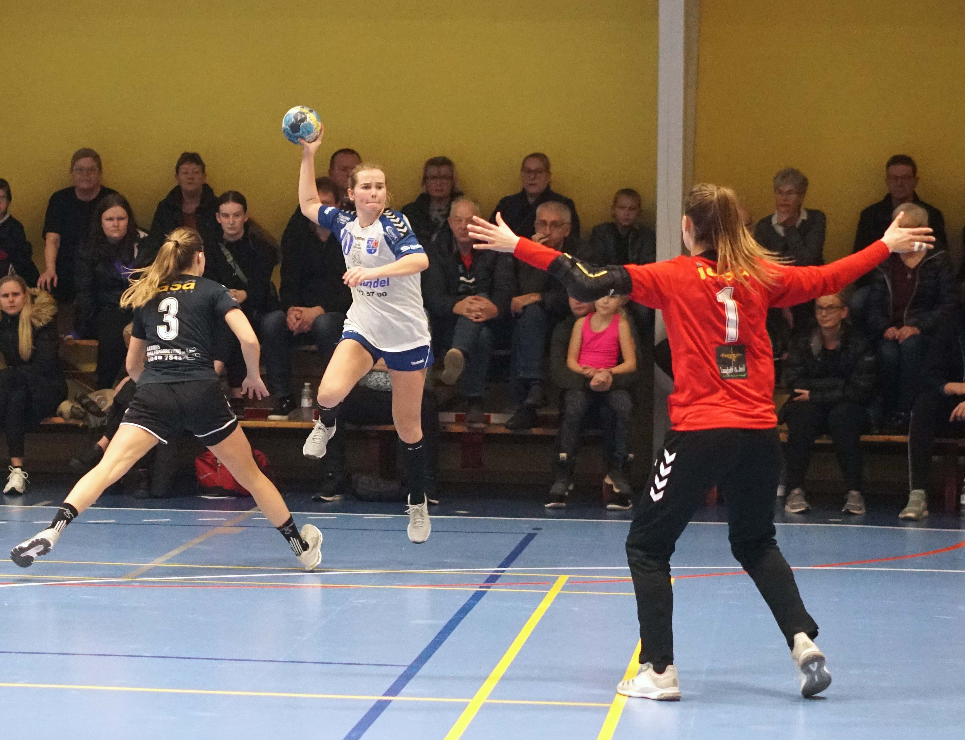 SIF/Ansager-Århus den 12. januar 2020 i Skovlund-Ansager Hallen