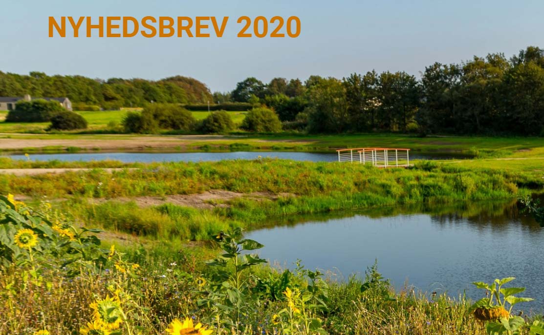 Nyhedsbrev 2020
