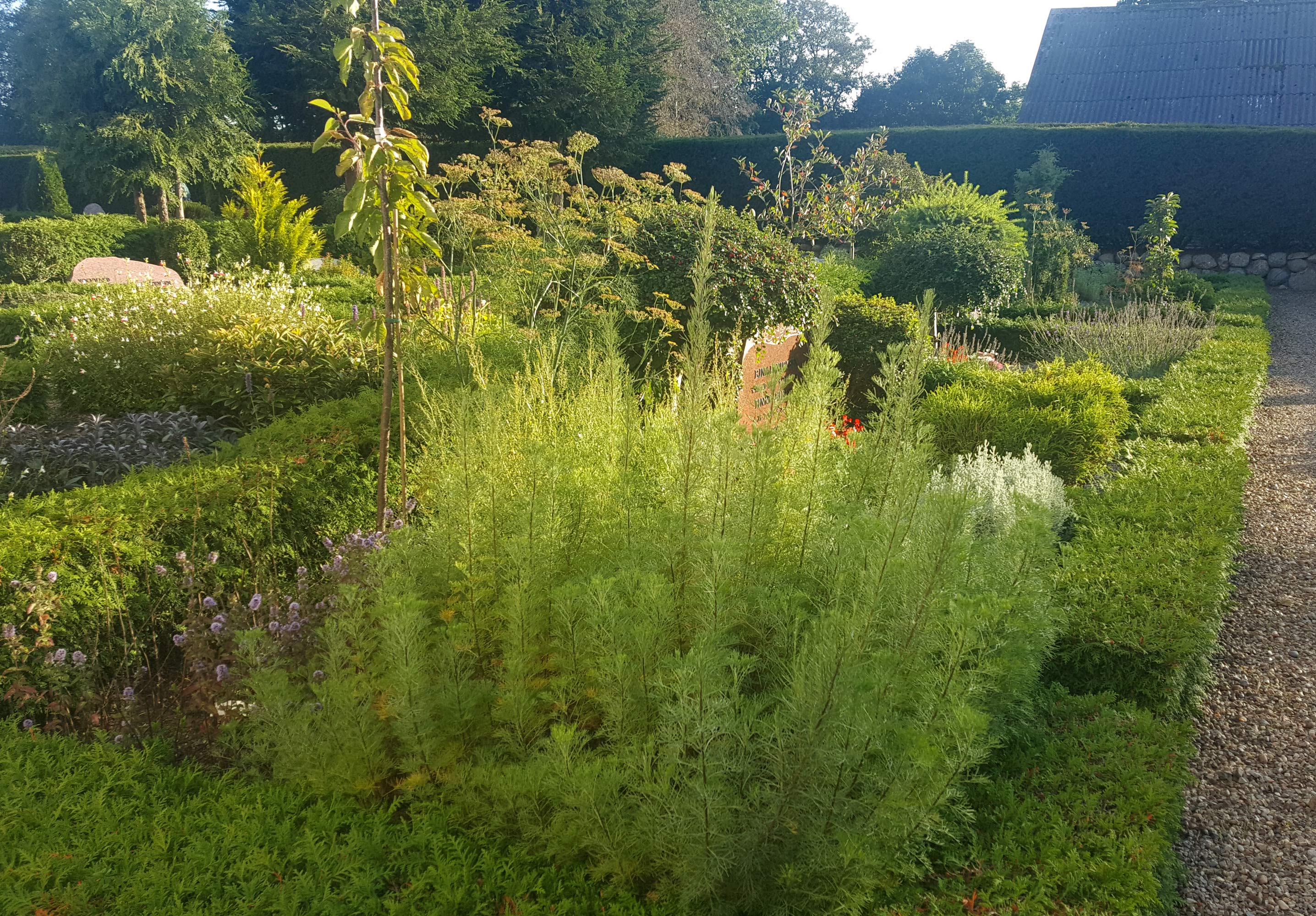En ændret begravelseskultur med færre kister og flere urner betyder mindre pladsbehov. På Nr. Omme kirkegård er der etableret en sansehave for de levende på de ubenyttede grave. Alternativet til sansehaven ville være tomme gravsteder med græs, grus eller jord. Med sansehaven er kirkegården meget mere spændende at besøge.
