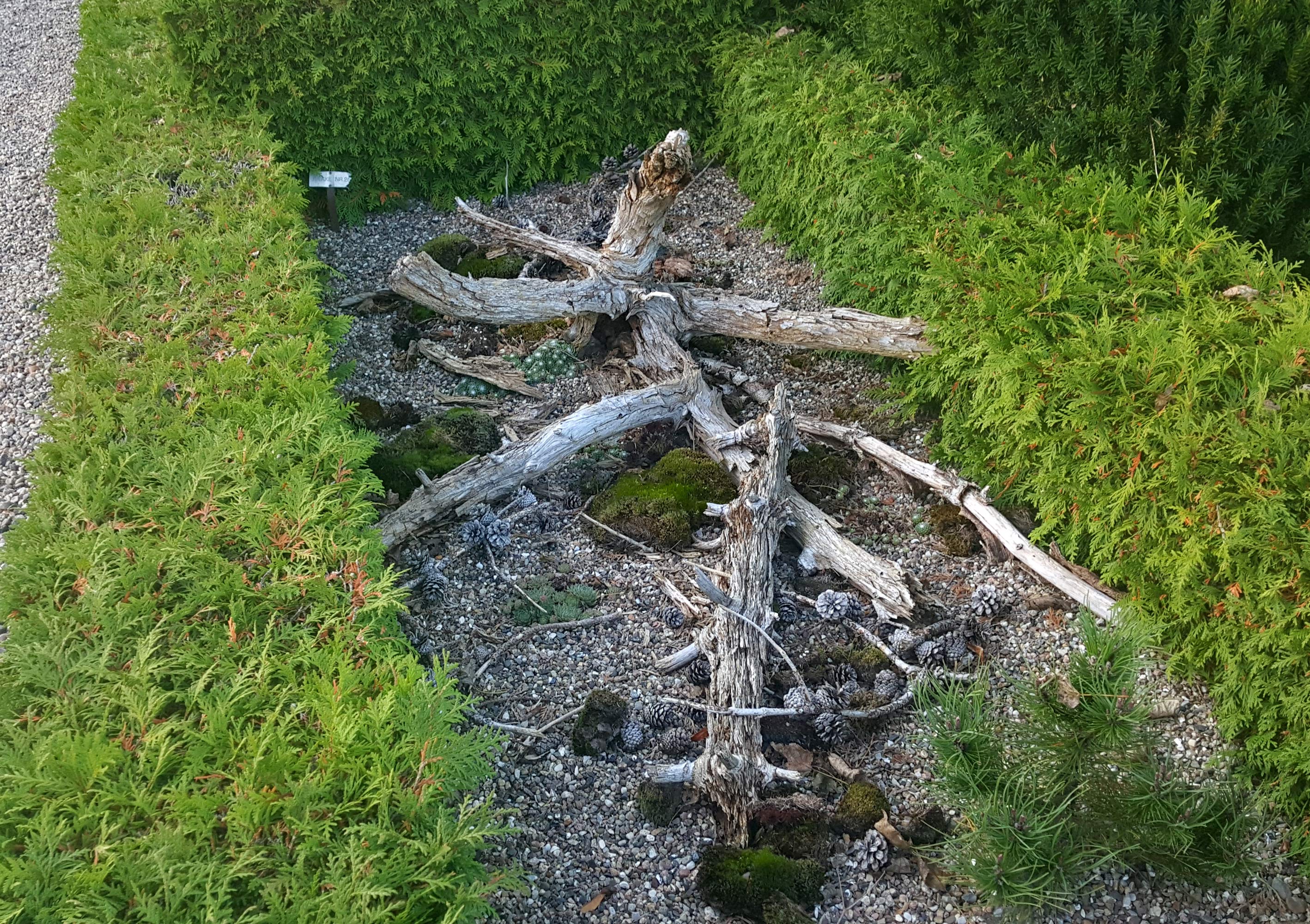 En ændret begravelseskultur med færre kister og flere urner betyder mindre pladsbehov. På Nr. Omme kirkegård er der etableret en sansehave for de levende på de ubenyttede grave. Alternativet til sansehaven ville være tomme gravsteder med græs, grus eller jord. Med sansehaven er kirkegården meget mere spændende at besøge.
