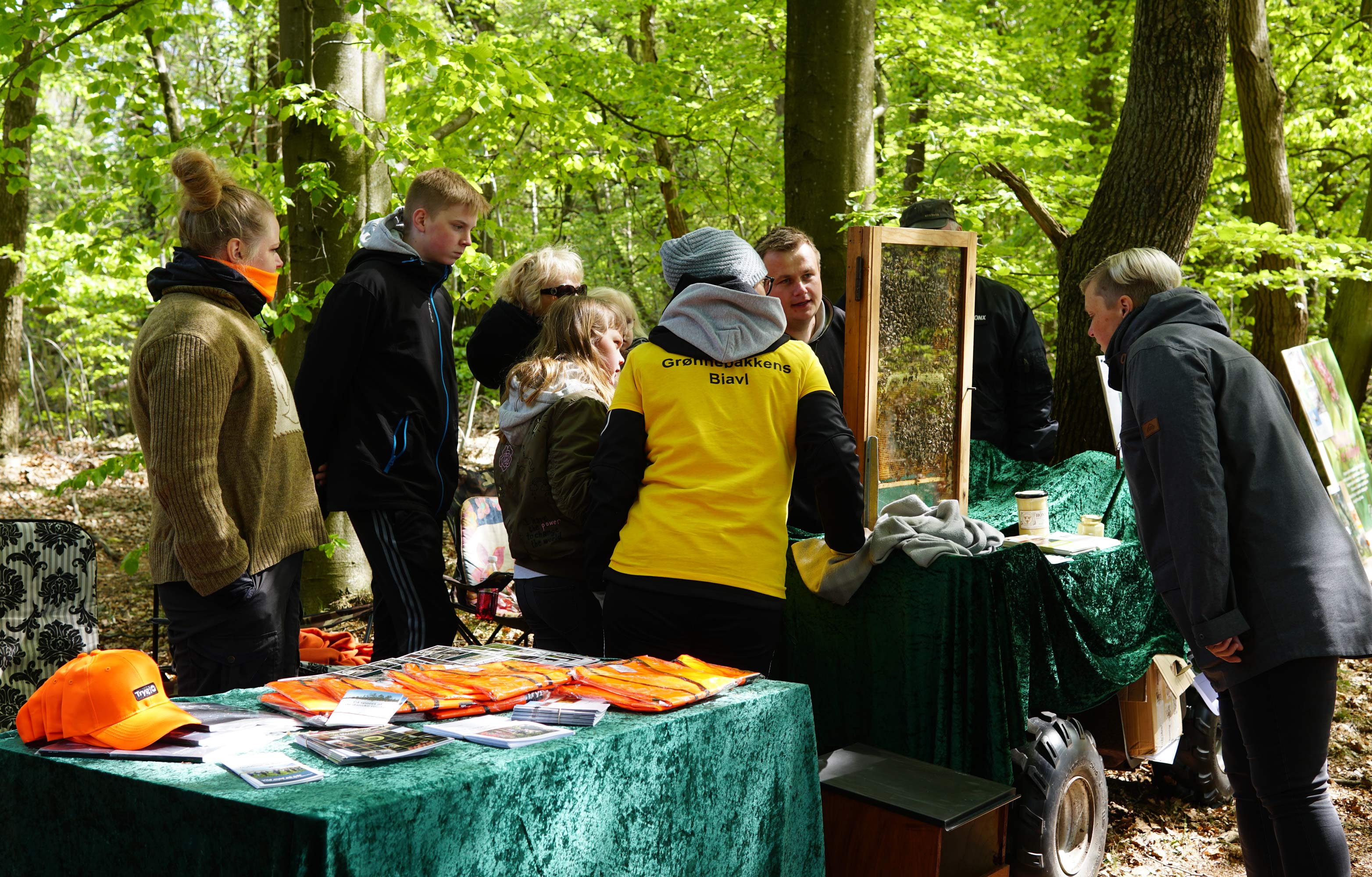 Skovens Dag 2019 i Ansager Kommuneplantage
