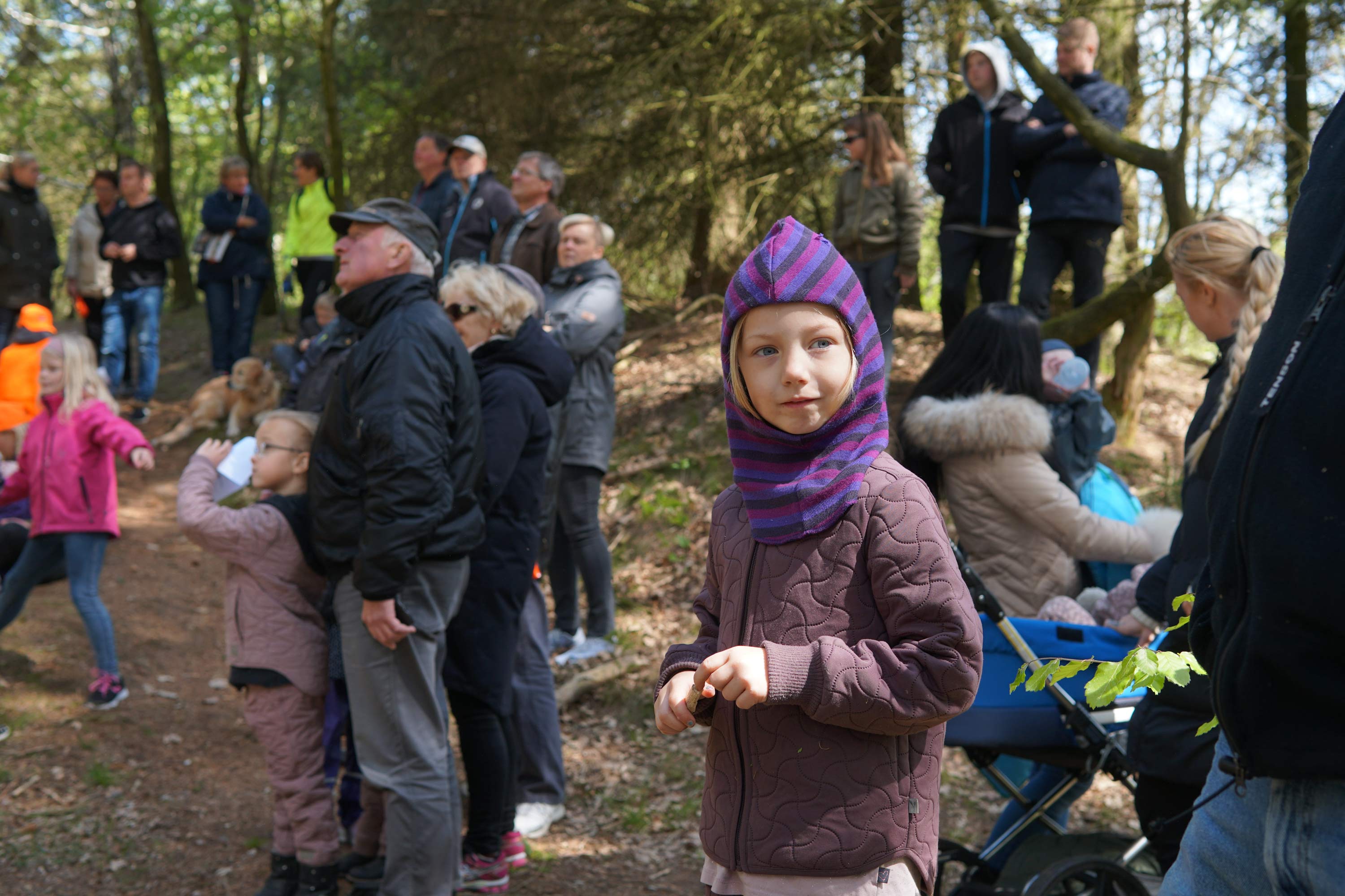 Skovens Dag 2019 i Ansager Kommuneplantage