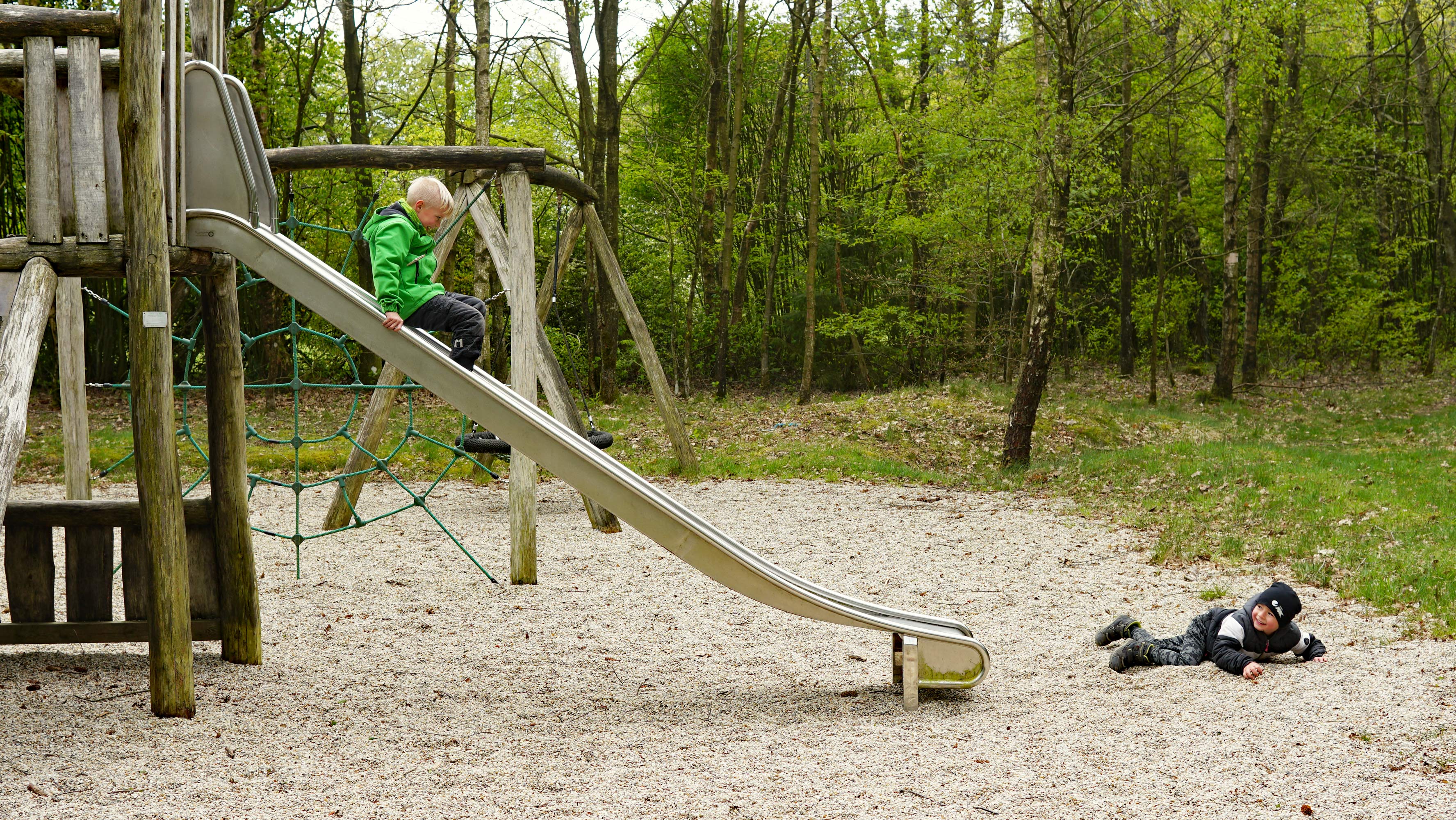 Skovens Dag 2019 i Ansager Kommuneplantage