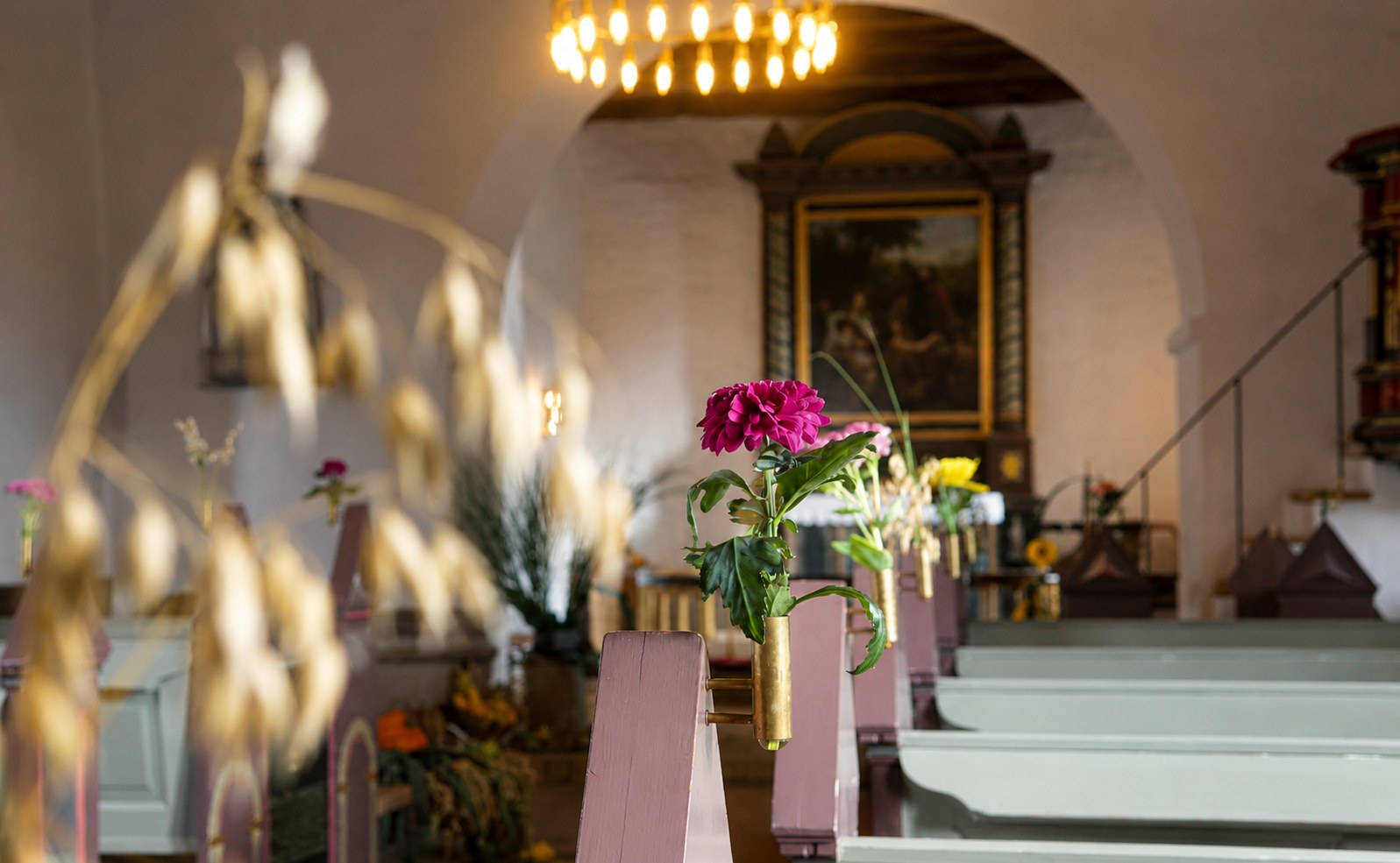 Kornneg, blomster og efterårsfarver pynter Ansager Kirke til høstgudstjenesten søndag 6. september klokken 10.30.