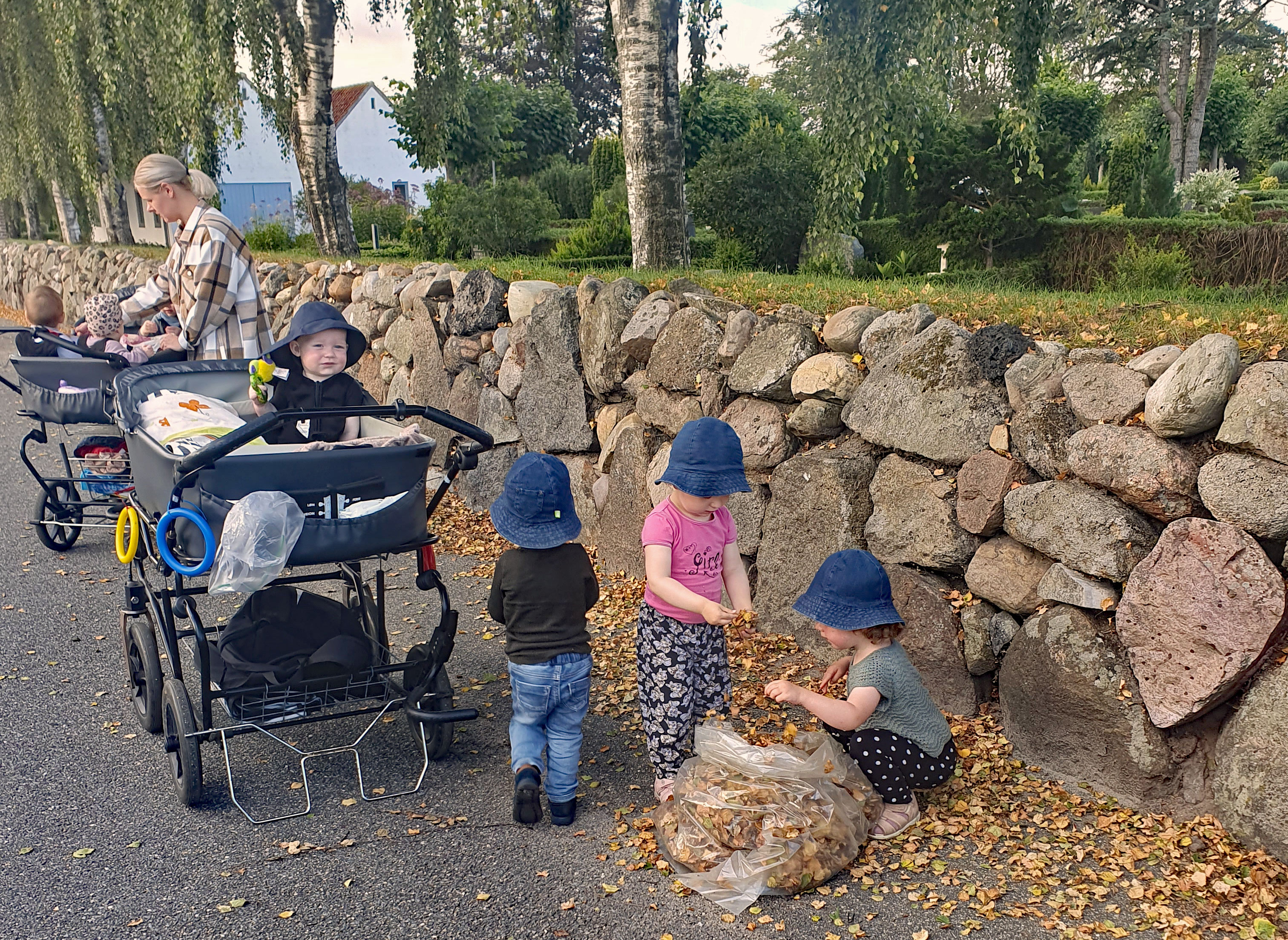 Børn fra Ansager dagpleje skaber et efterårsregn af birkeblade fra kirketræerne. Smil, latter og bare tæer dominerer i sanse-haven på denne dejlige sensommerdag