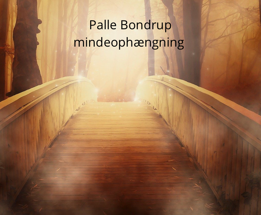 Rundvisning og film om Palle Bondrup