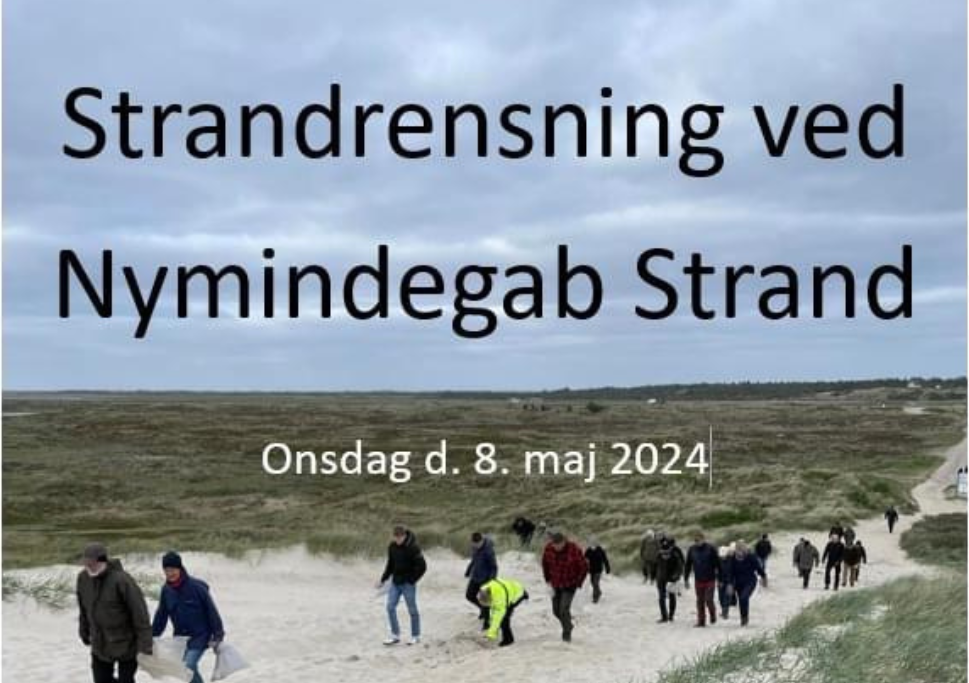 Strandrensning og grillfest i Nymindegab