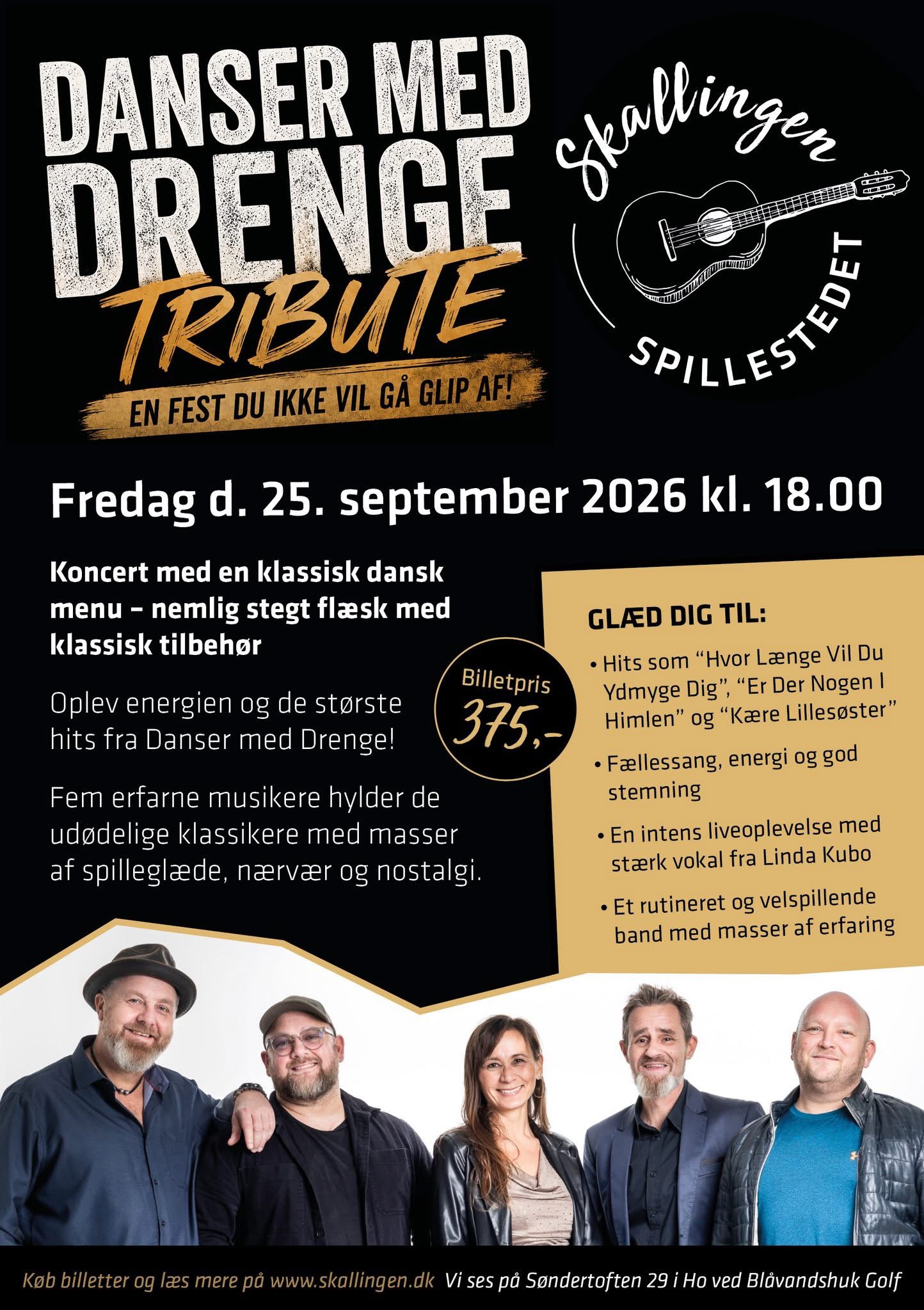 Danser med Drenge Tribute spiller koncert i Ho