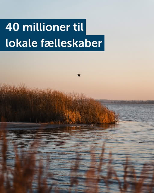 18 marts: hjælp med at fordele 40 mill. kr.