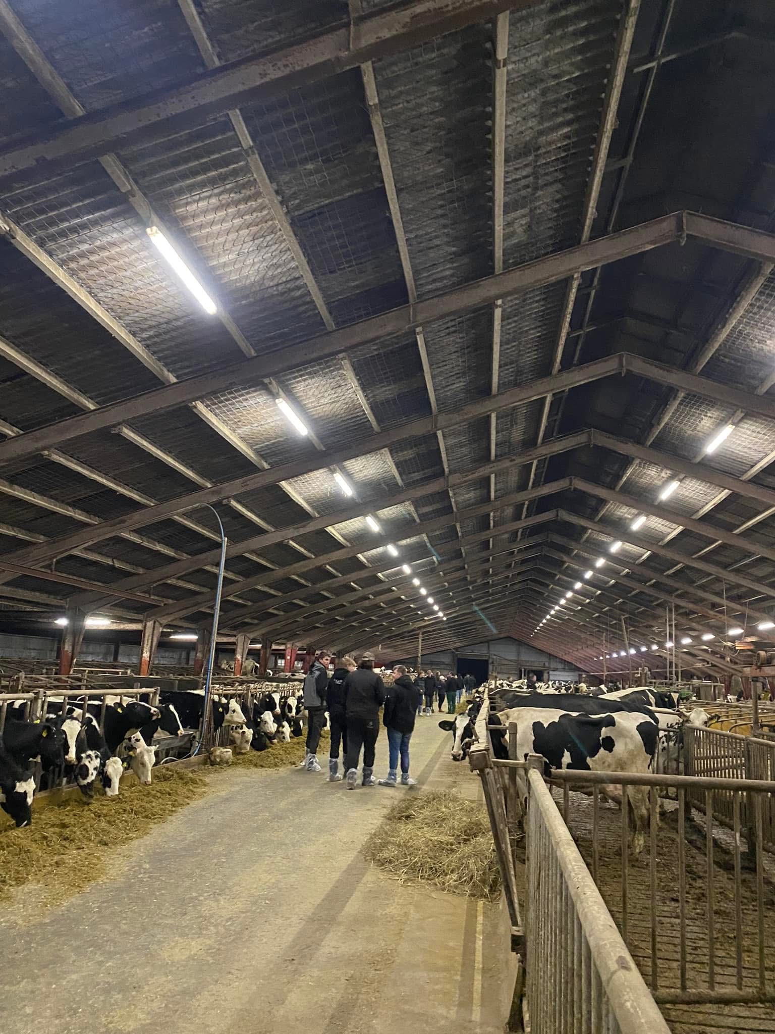 Landboungdom besøgte Stortoft Holstein