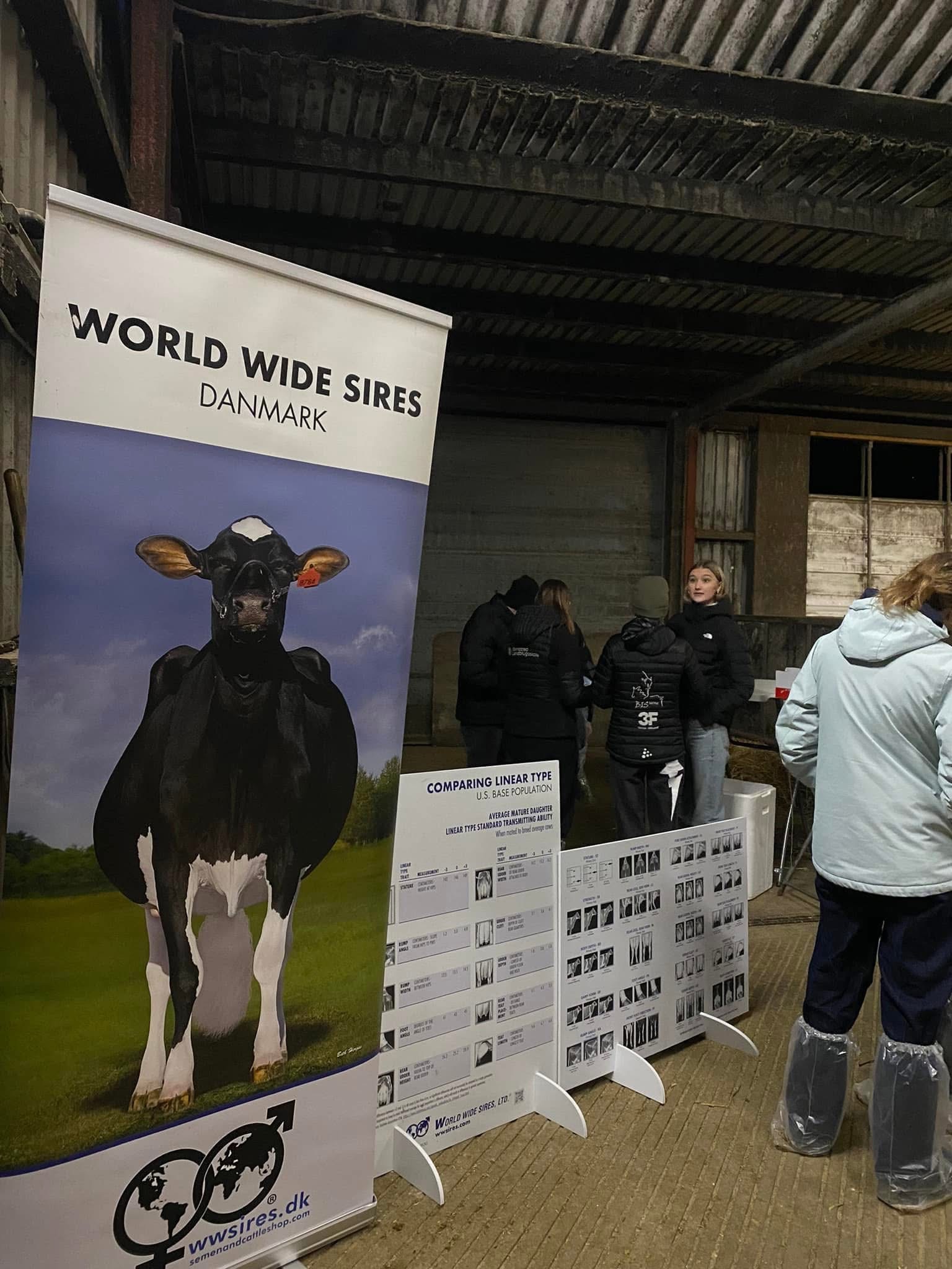 Landboungdom besøgte Stortoft Holstein