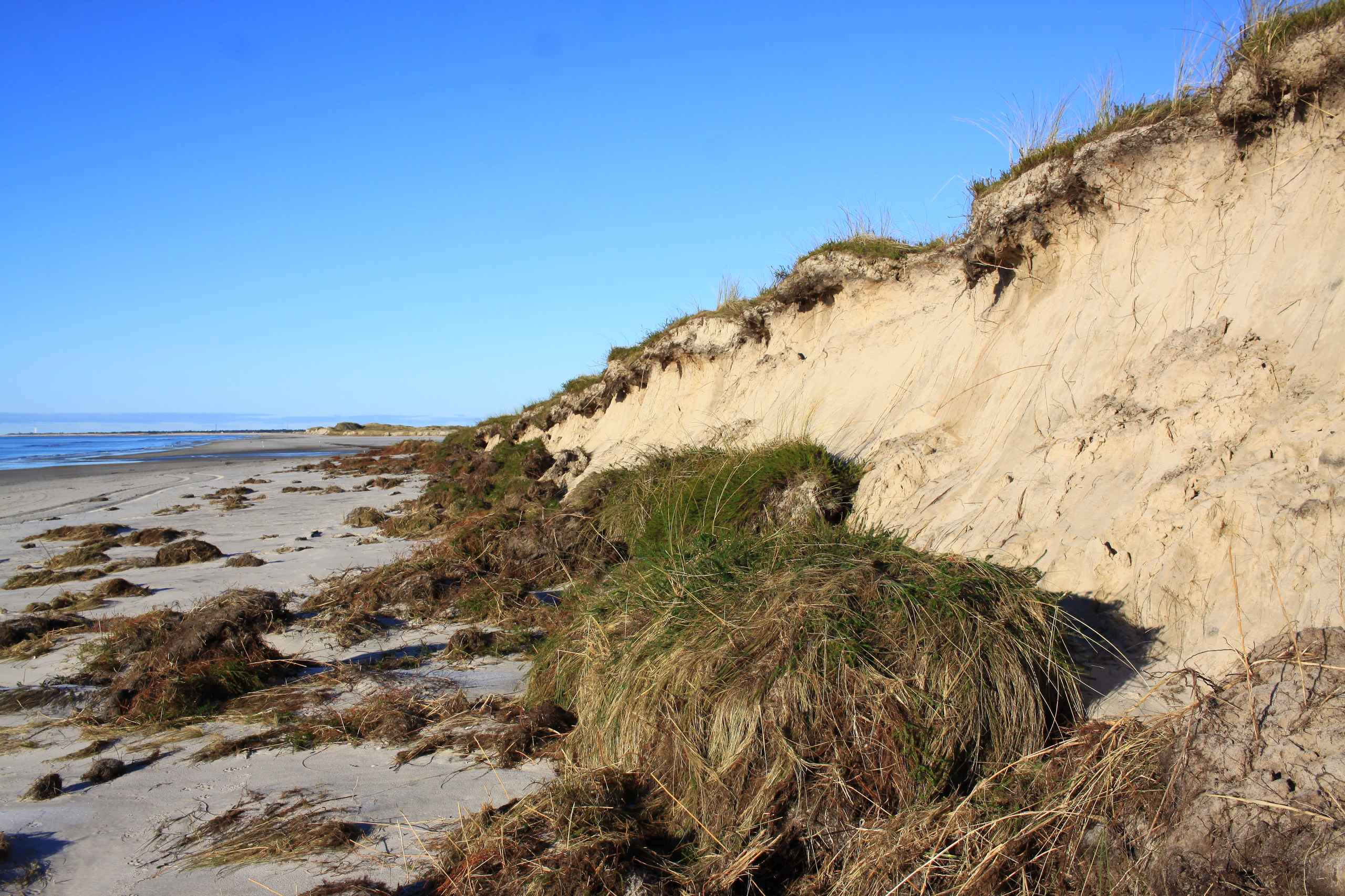 Dramatiske ændringer på Skallingen strand