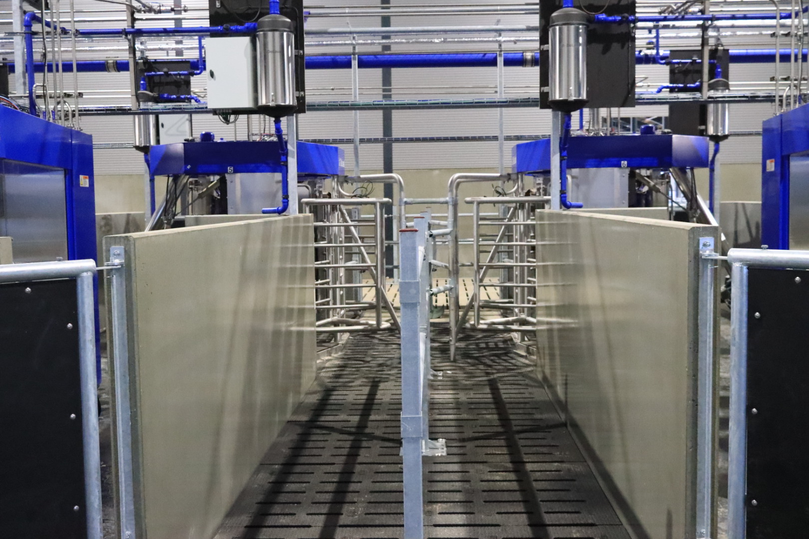 Nyt staldanlæg hos Højrupgaard Agro tages i brug