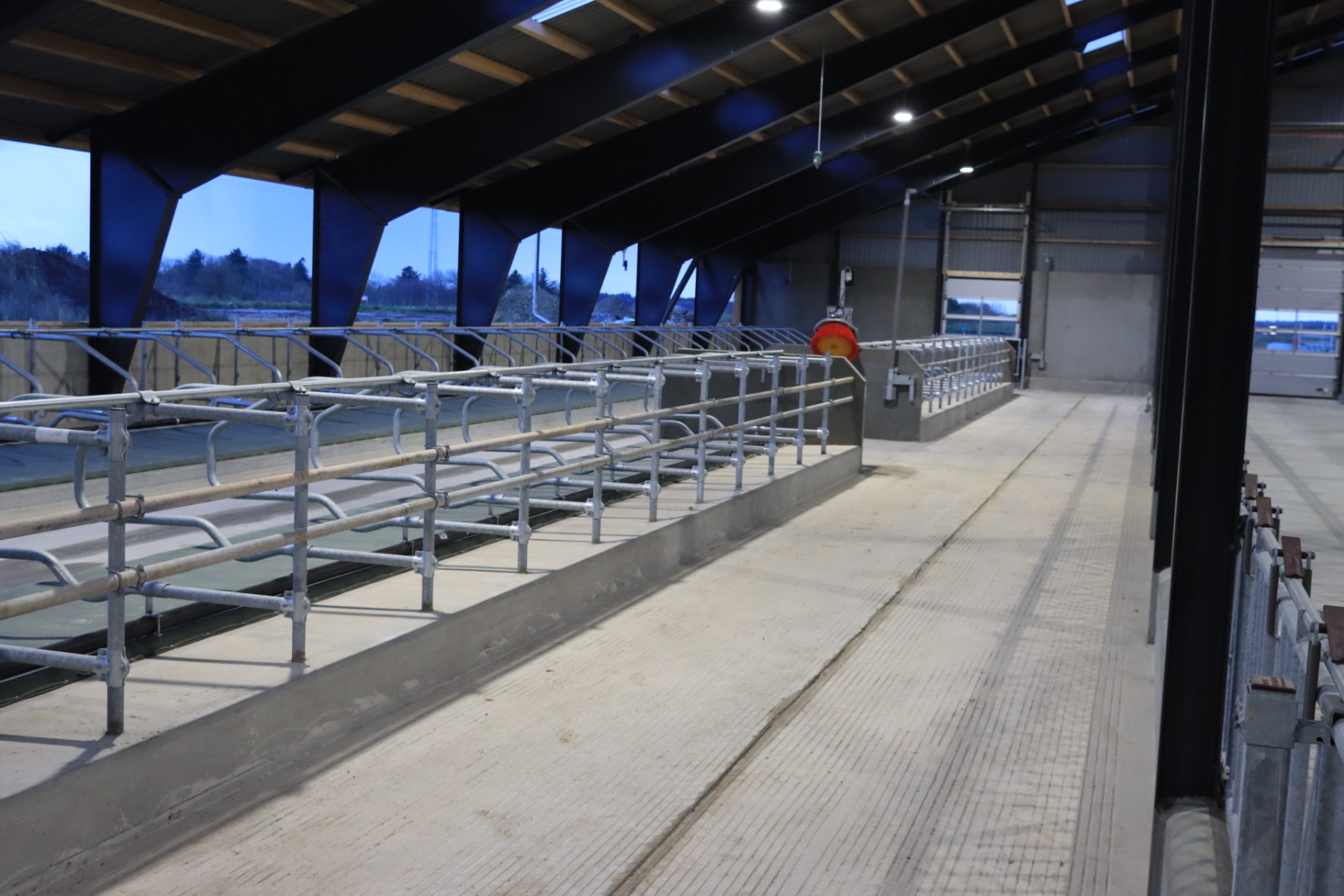 Nyt staldanlæg hos Højrupgaard Agro tages i brug