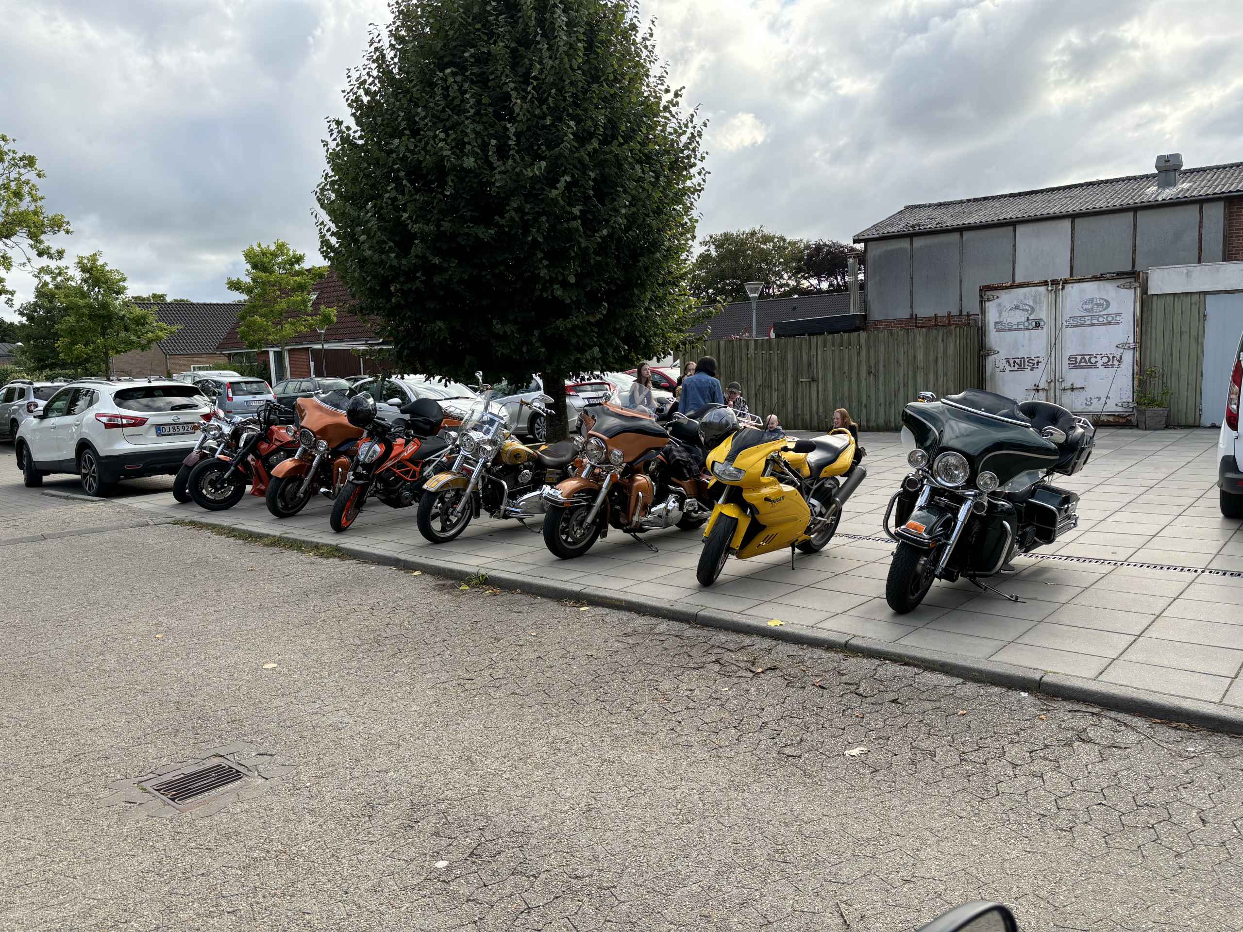 Sommertorsdag den 11.07