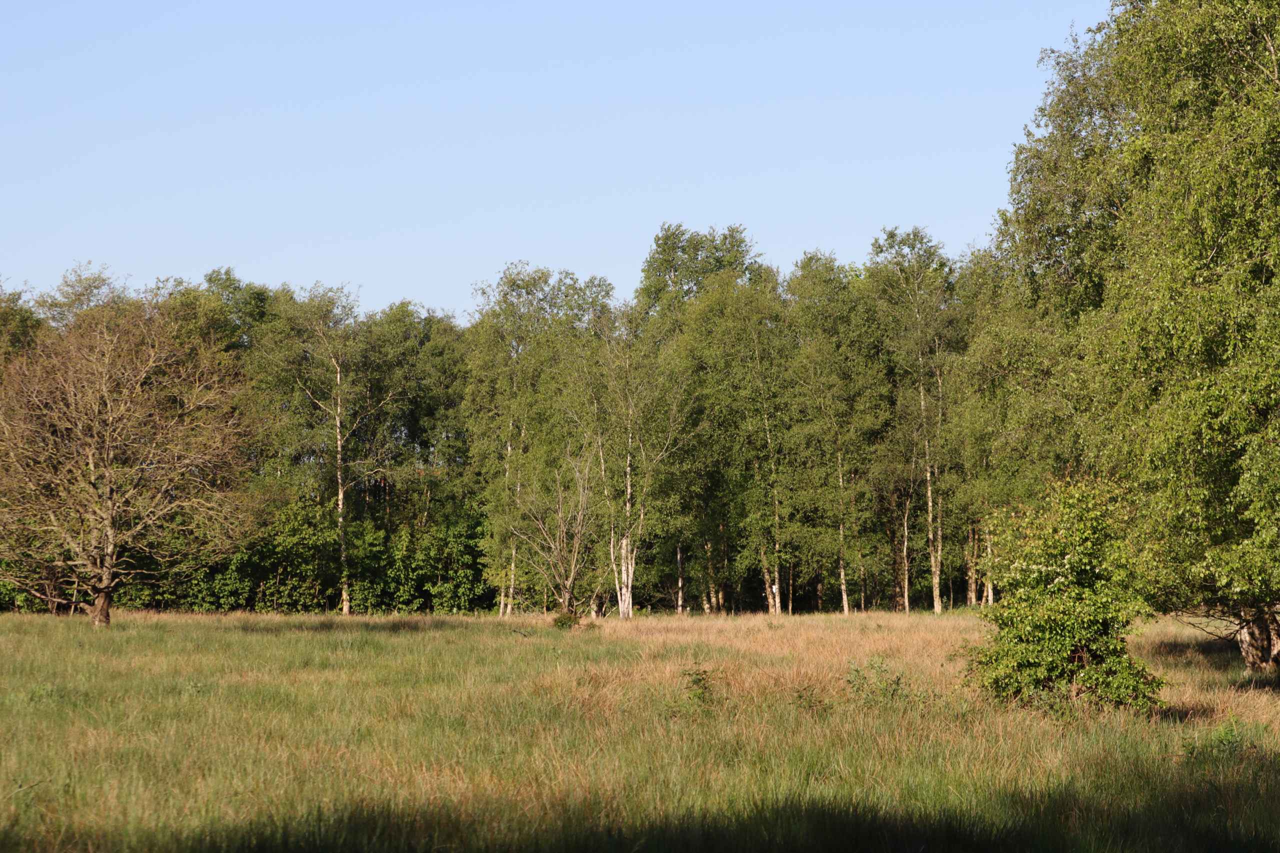 Bynær natur lokker beboere