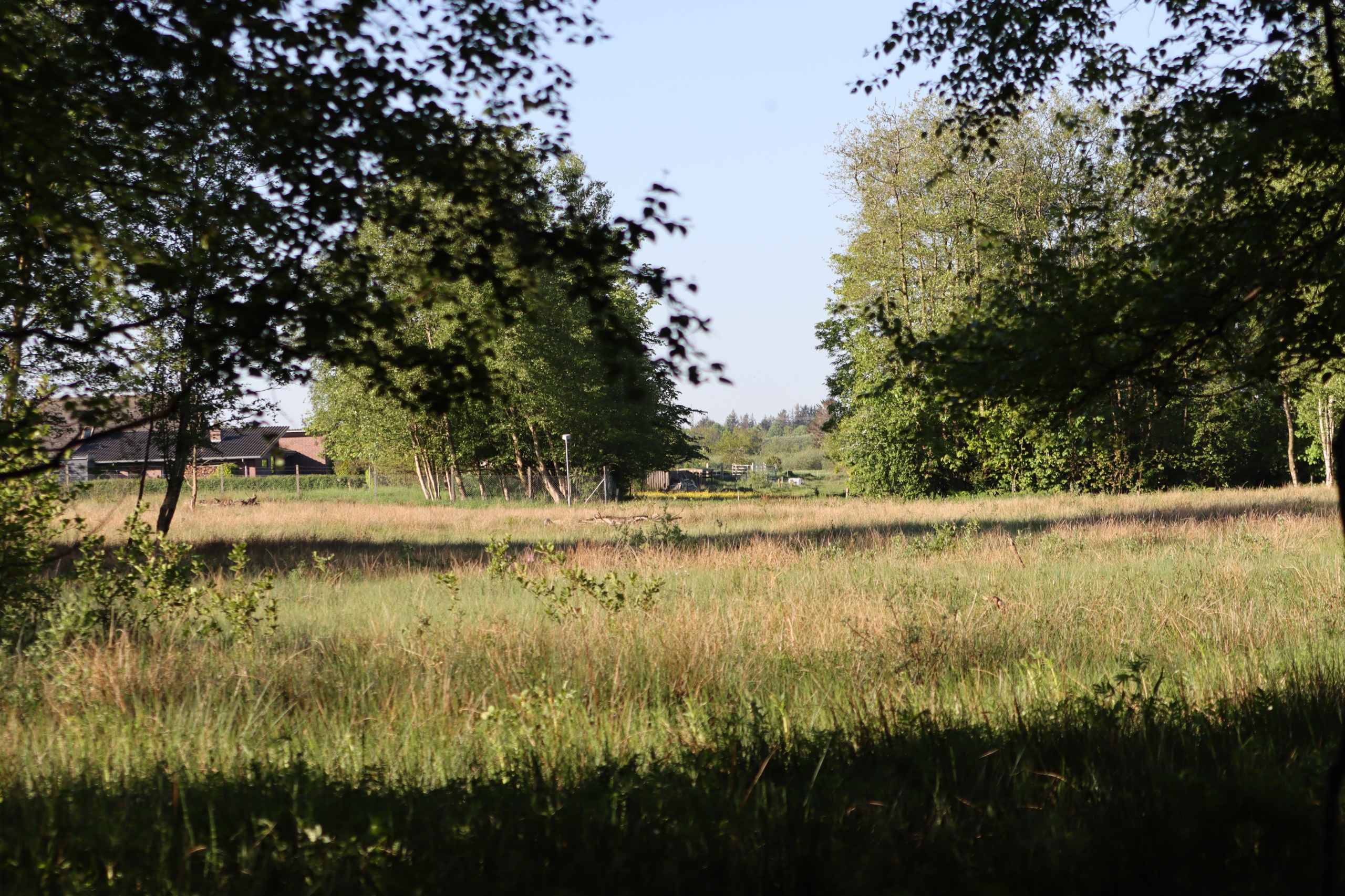 Bynær natur lokker beboere