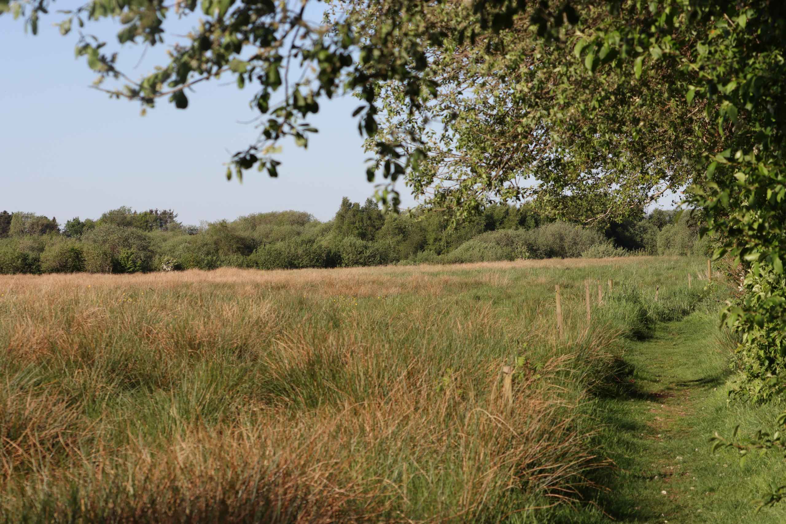 Bynær natur lokker beboere