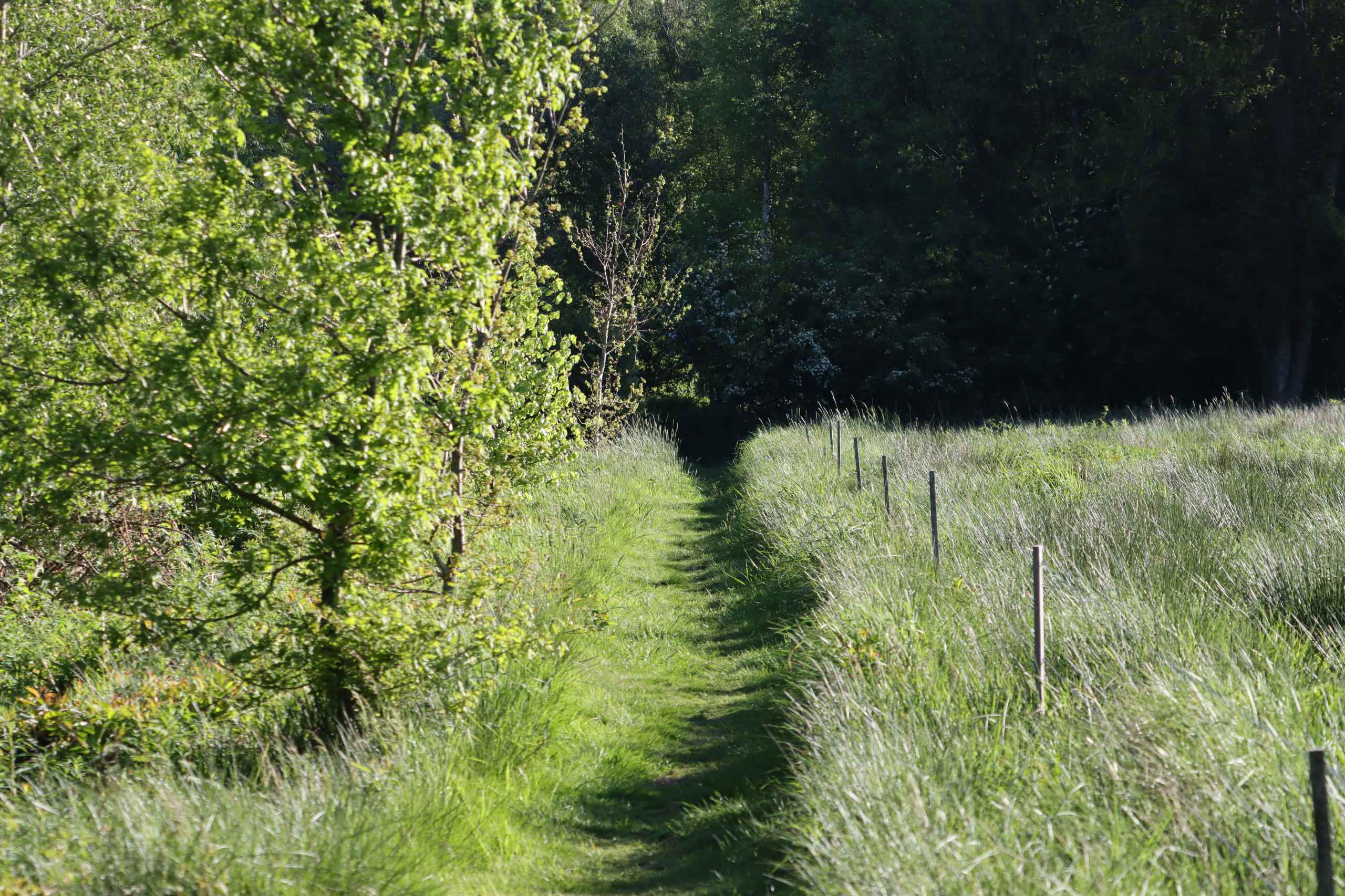 Bynær natur lokker beboere