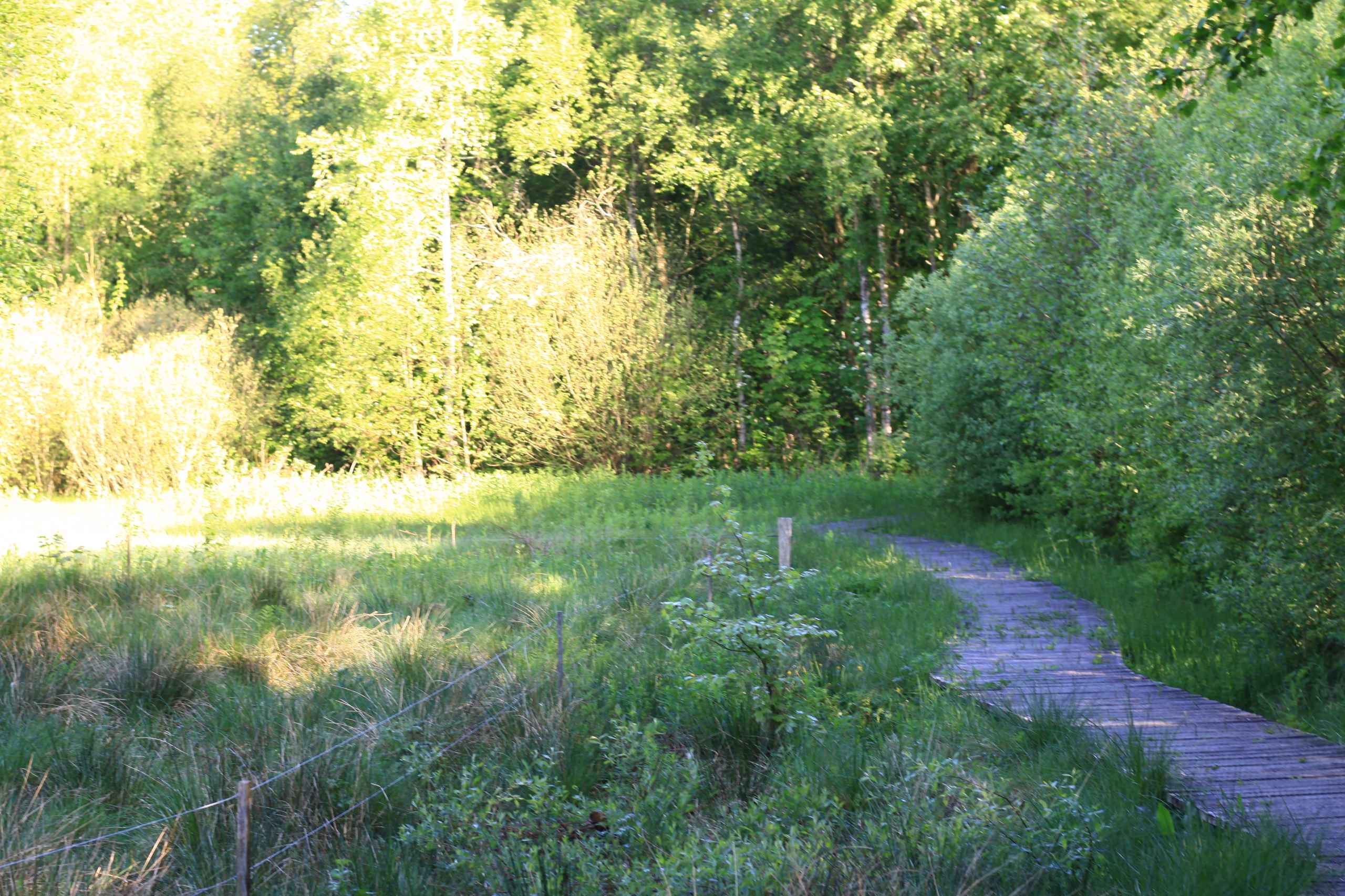 Bynær natur lokker beboere