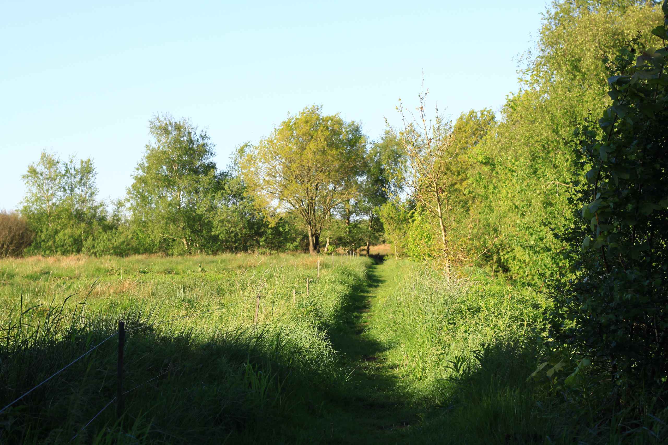 Bynær natur lokker beboere