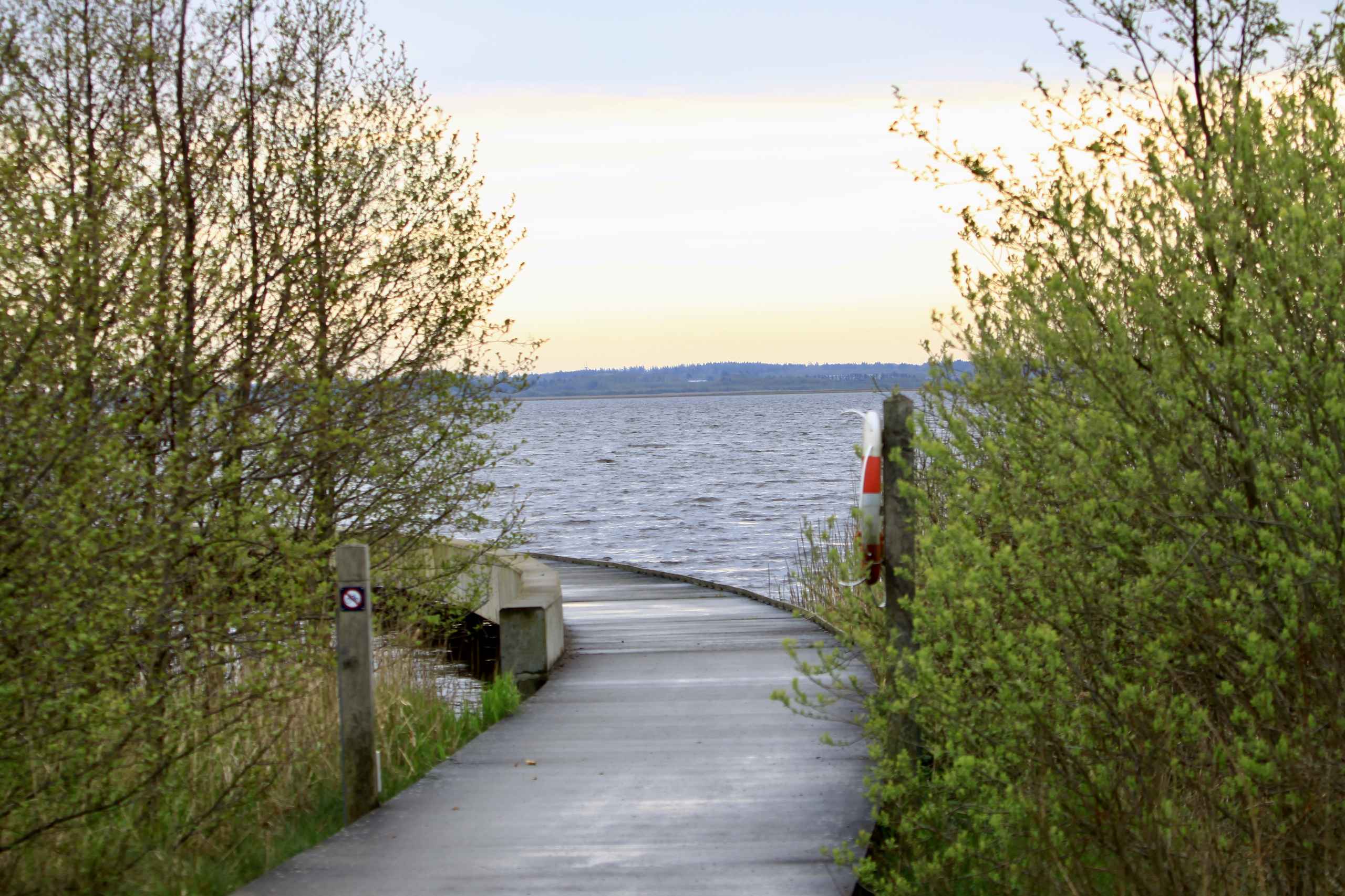 Turister i egen baghave