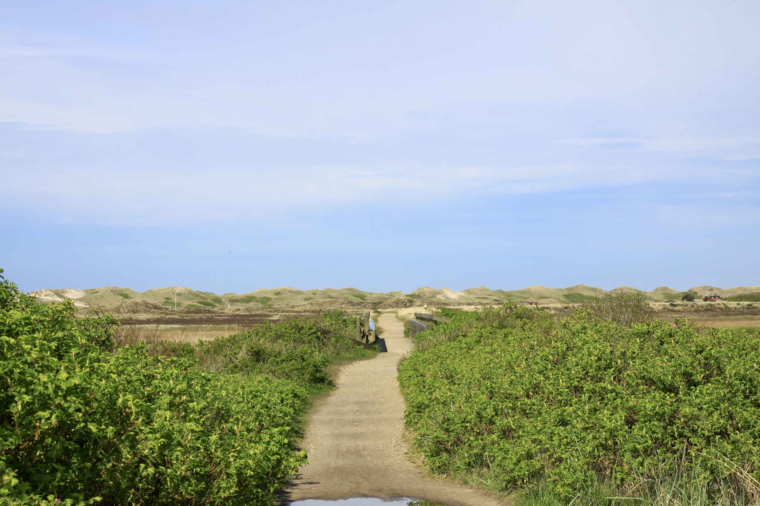 Turister i egen baghave