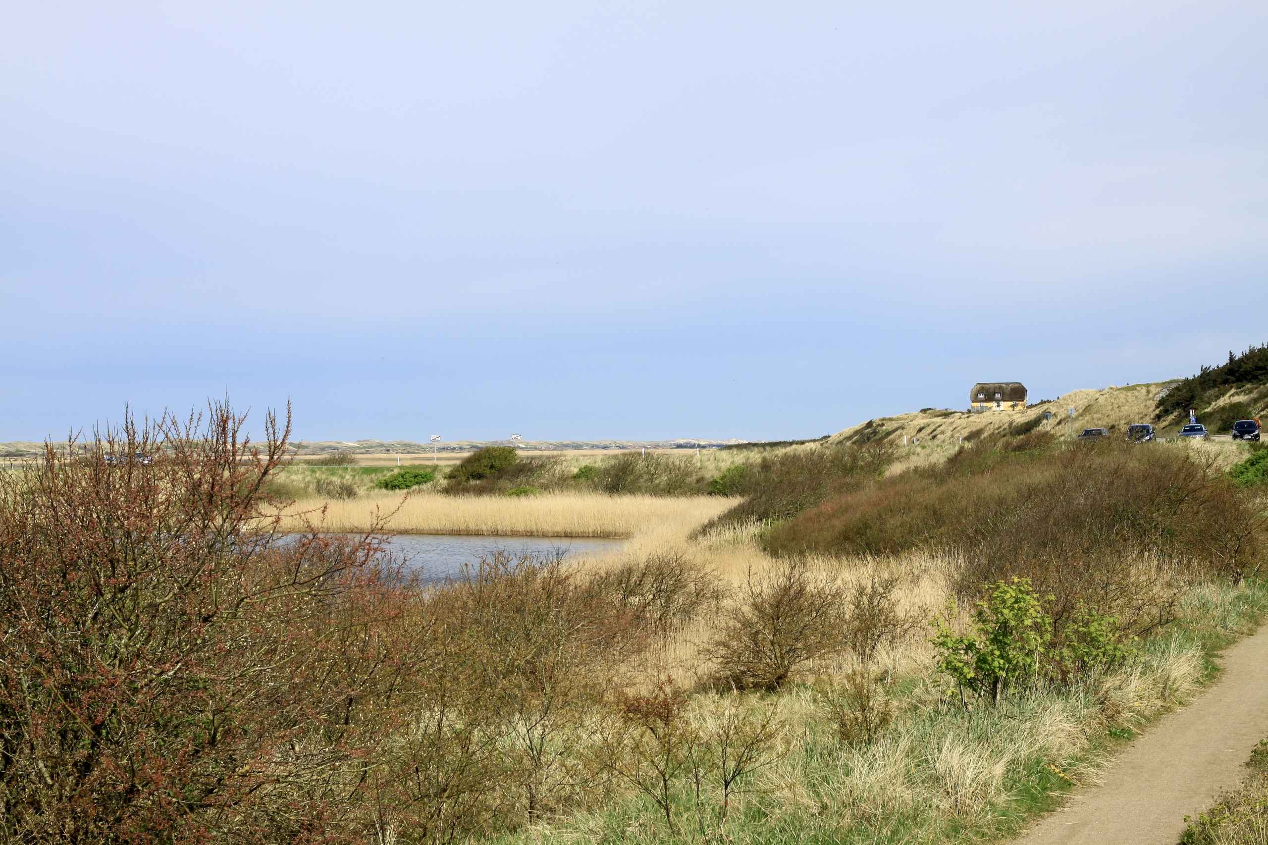 Turister i egen baghave