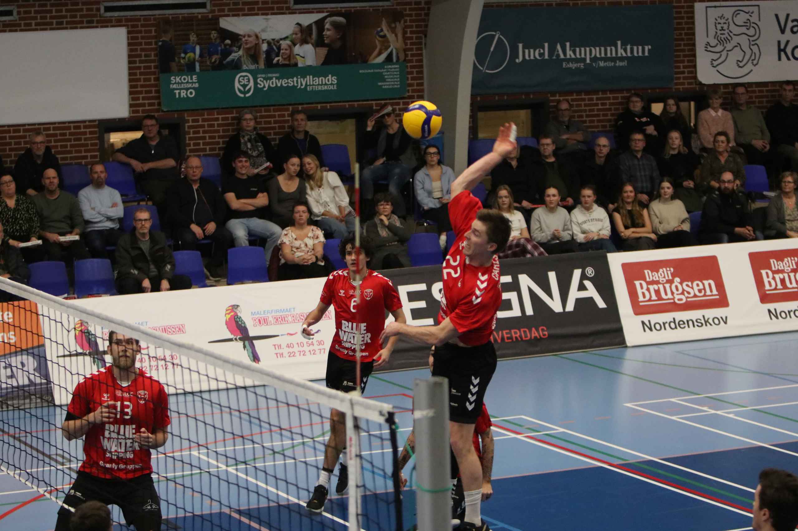 Nordenskov UIF overrasker i Volleyligaen