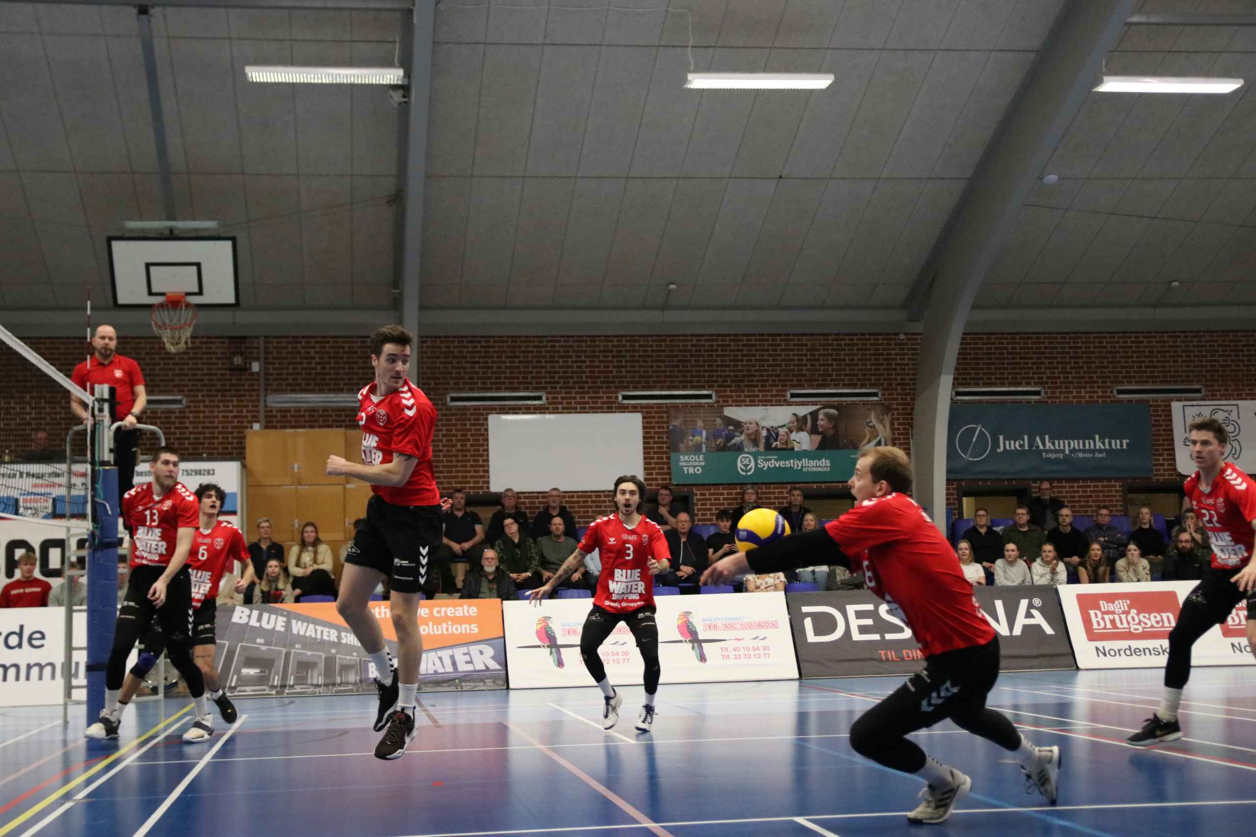 Nordenskov UIF overrasker i Volleyligaen
