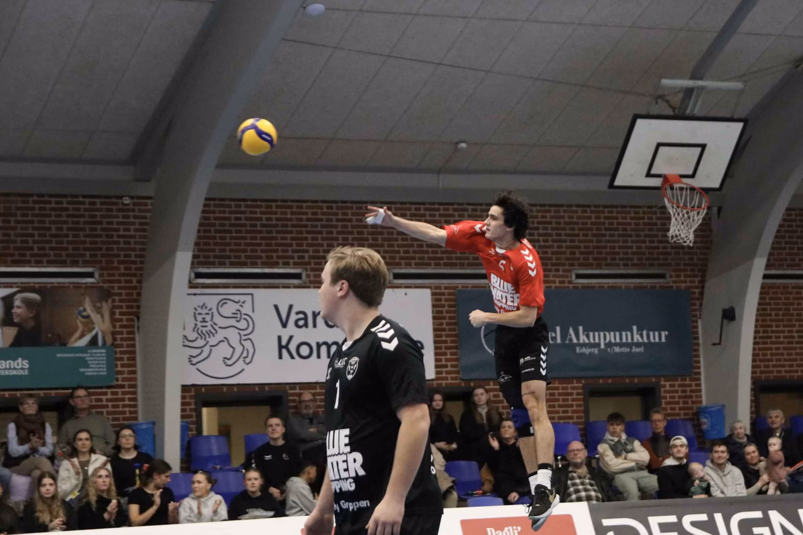 Nordenskov UIF Volley triumferer over Ikast