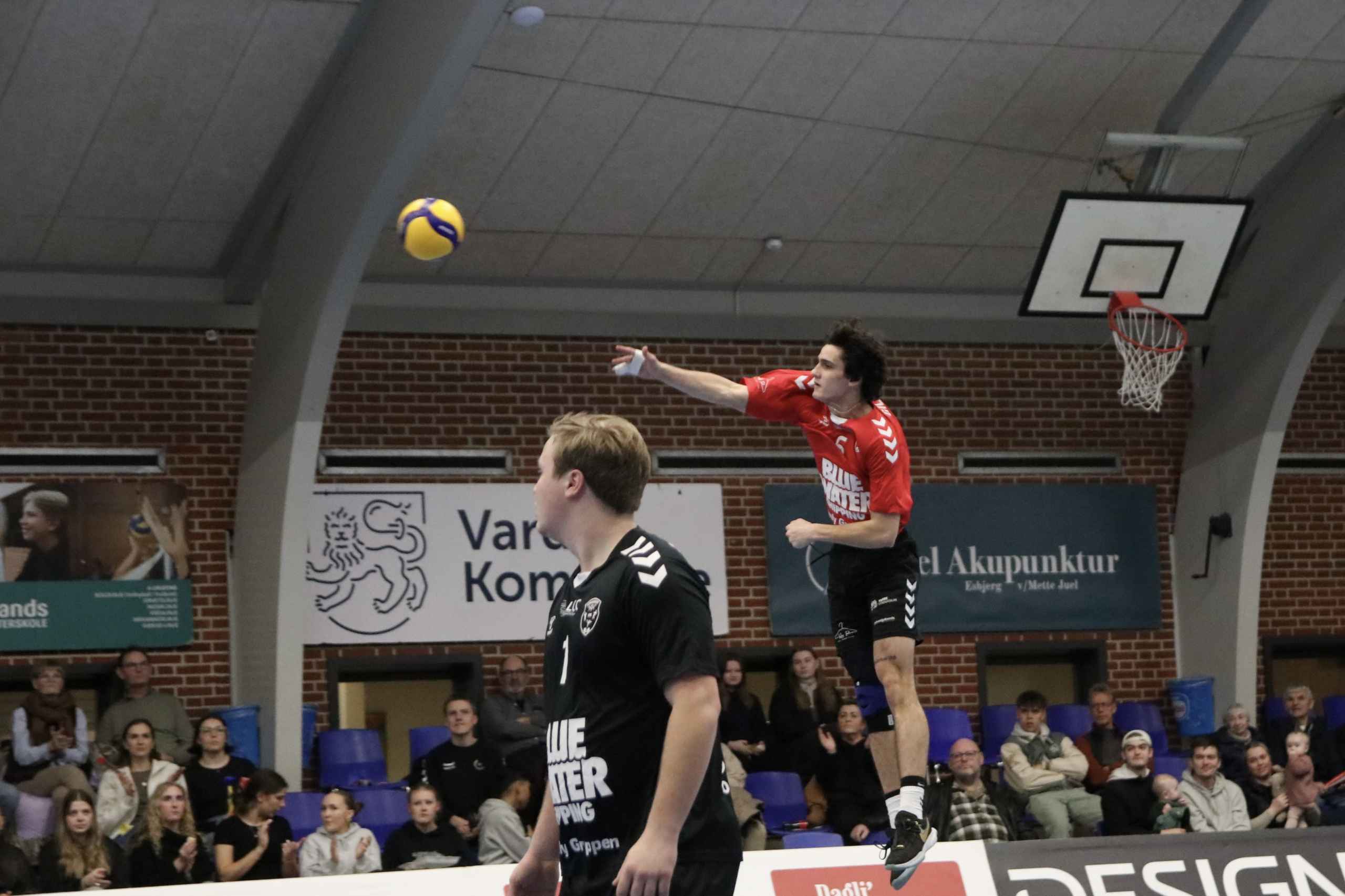 Nordenskov UIF Volley triumferer over Ikast