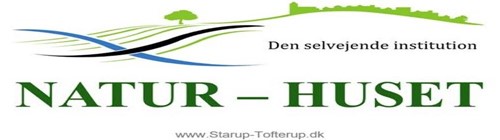 Sponsor eller logo