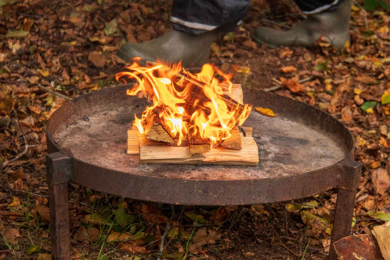 4H og naturvejleder i Engparken