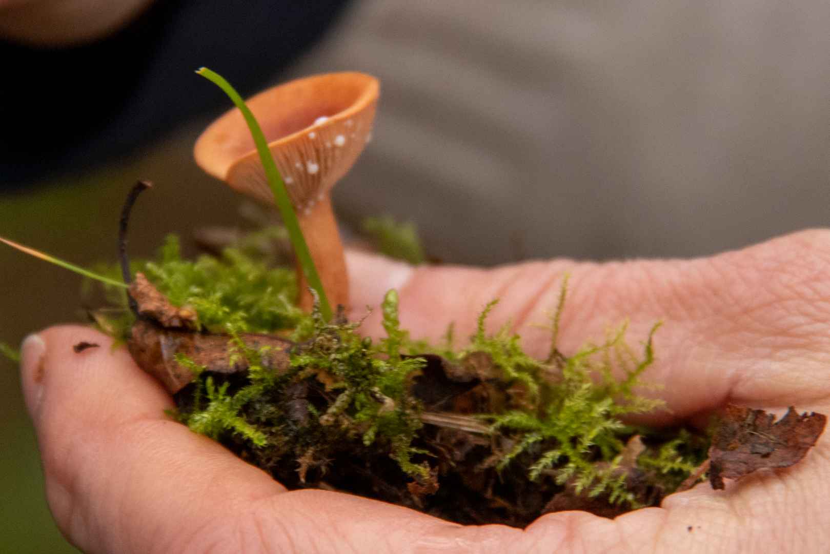 4H og naturvejleder i Engparken