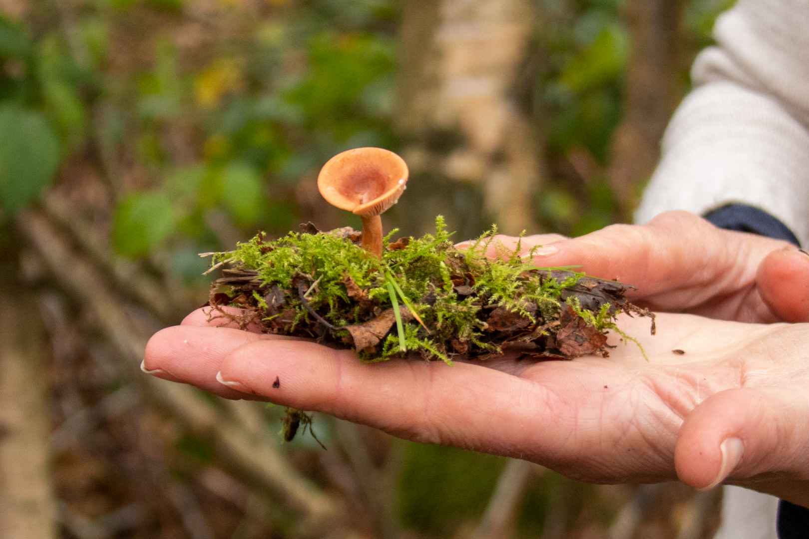 4H og naturvejleder i Engparken