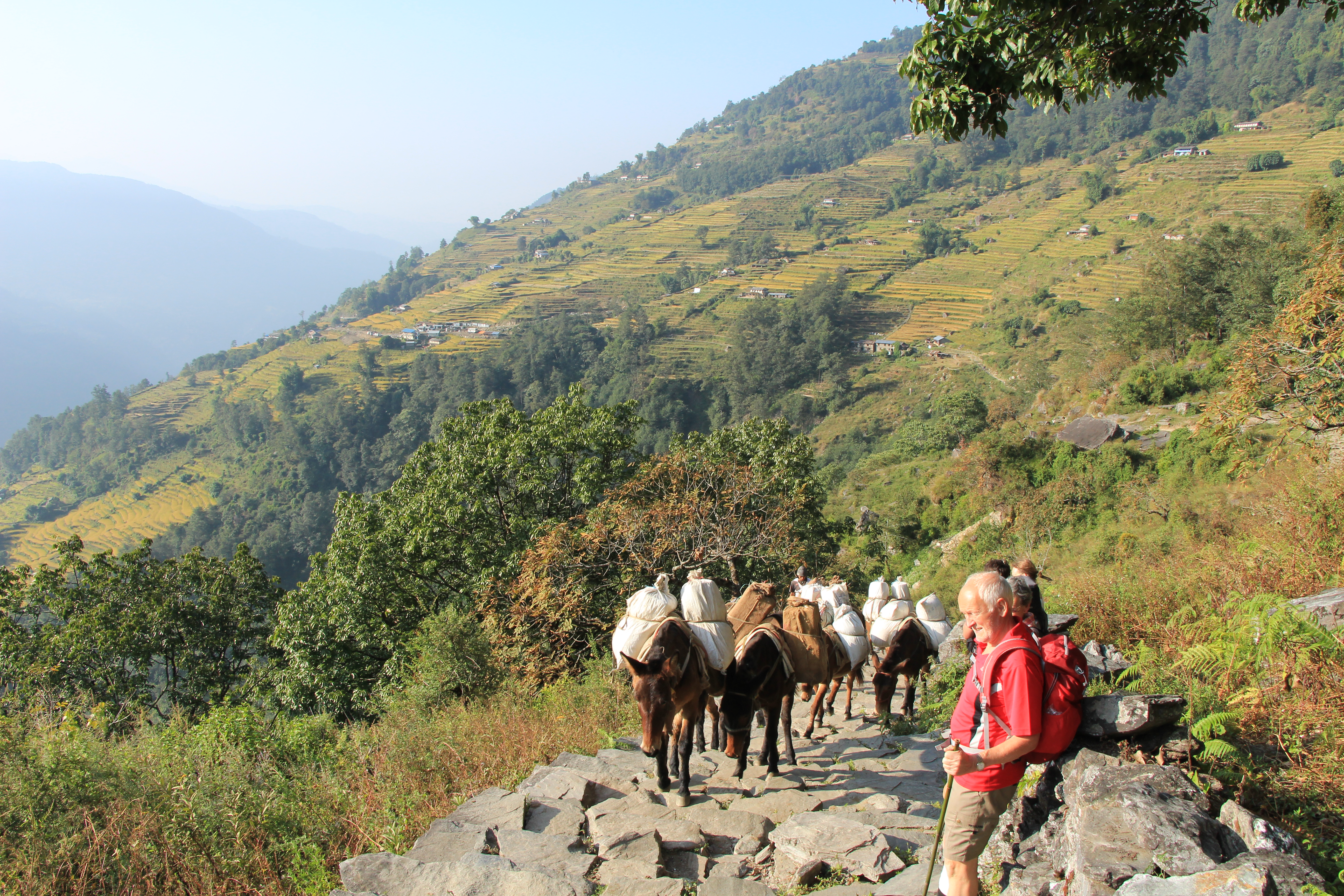 foredrag  om Nepal kl.14