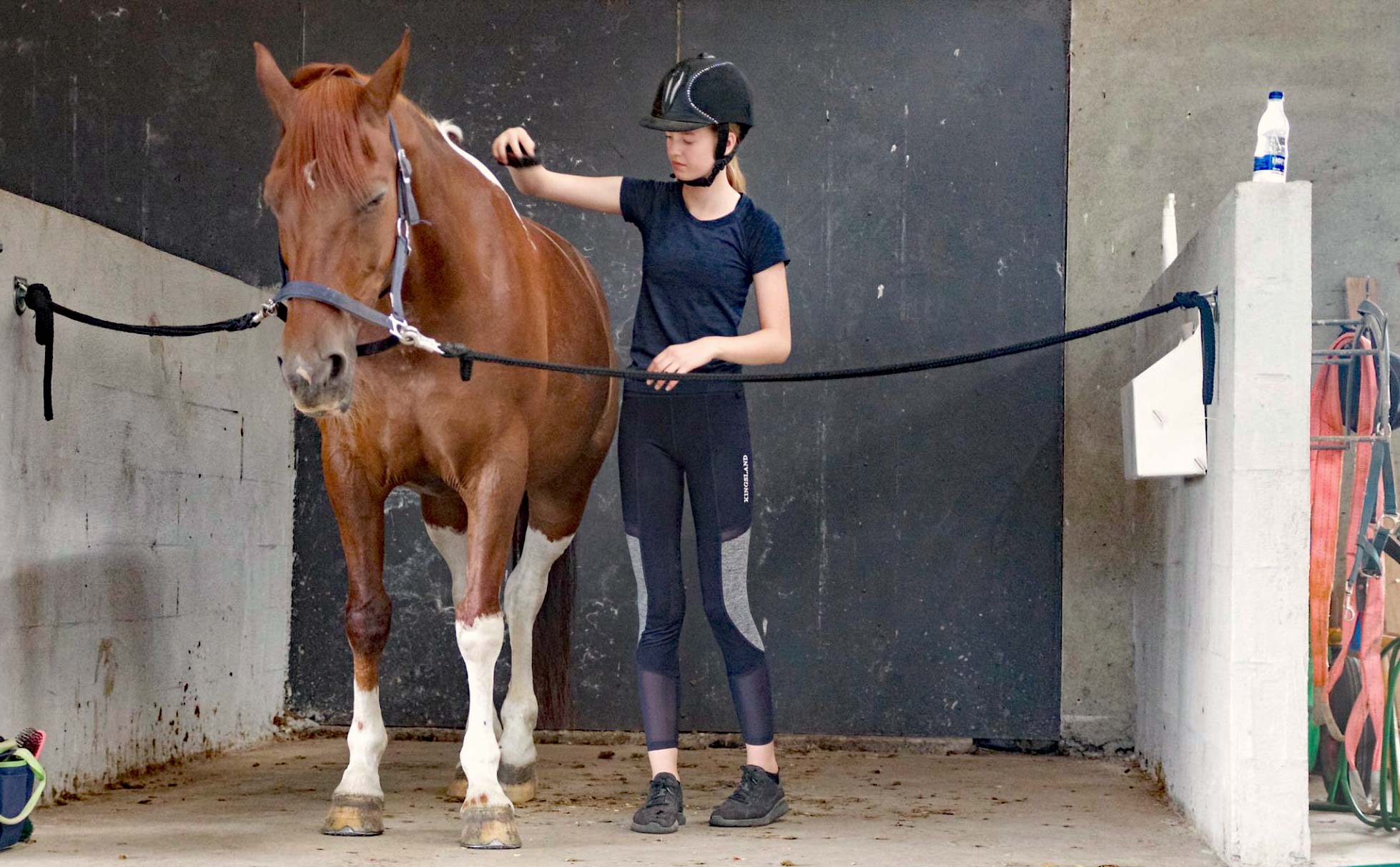 Solen skinner over RIKA’s ridelejr