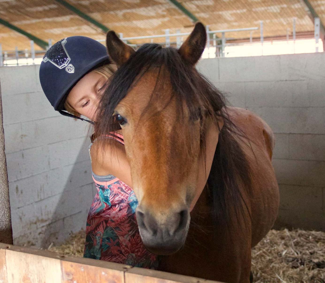 Solen skinner over RIKA’s ridelejr
