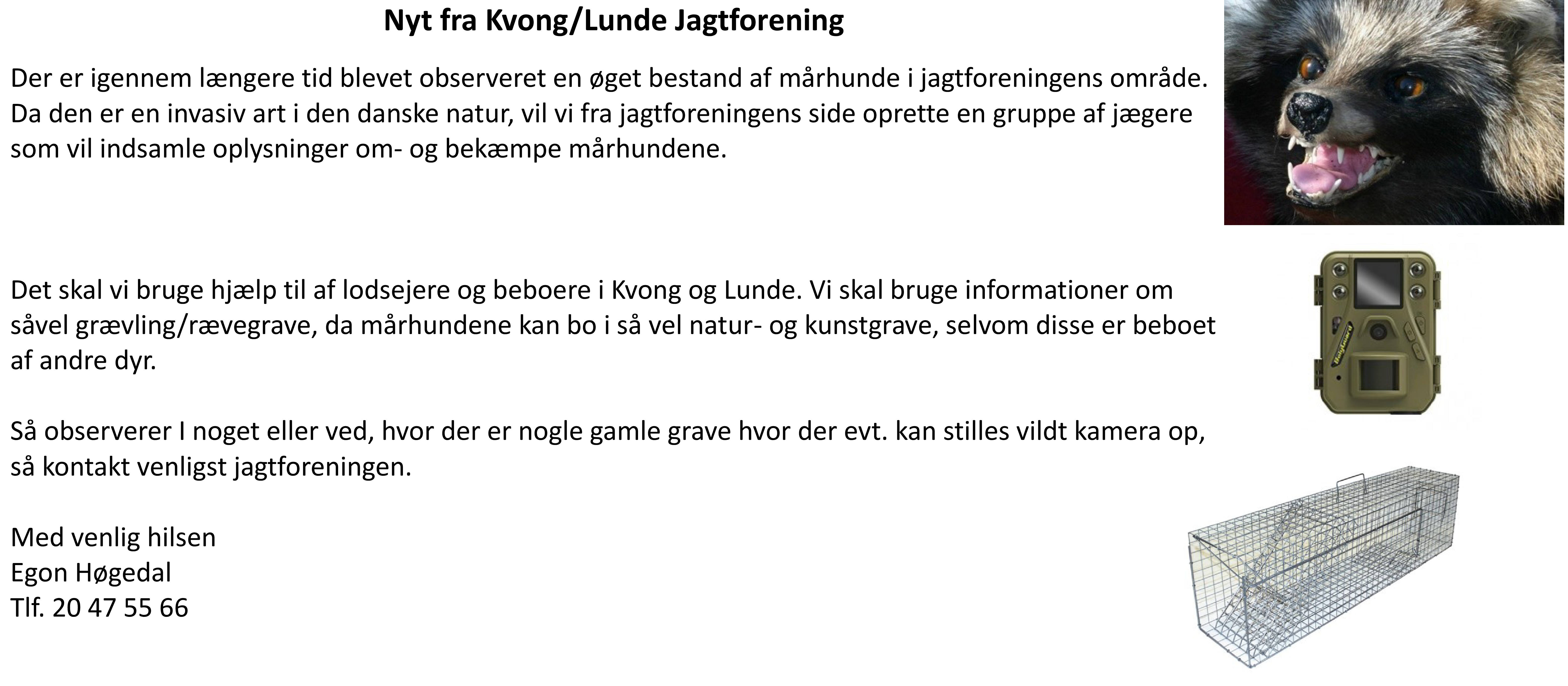 Nyt fra Lunde/Kvong jagtforening