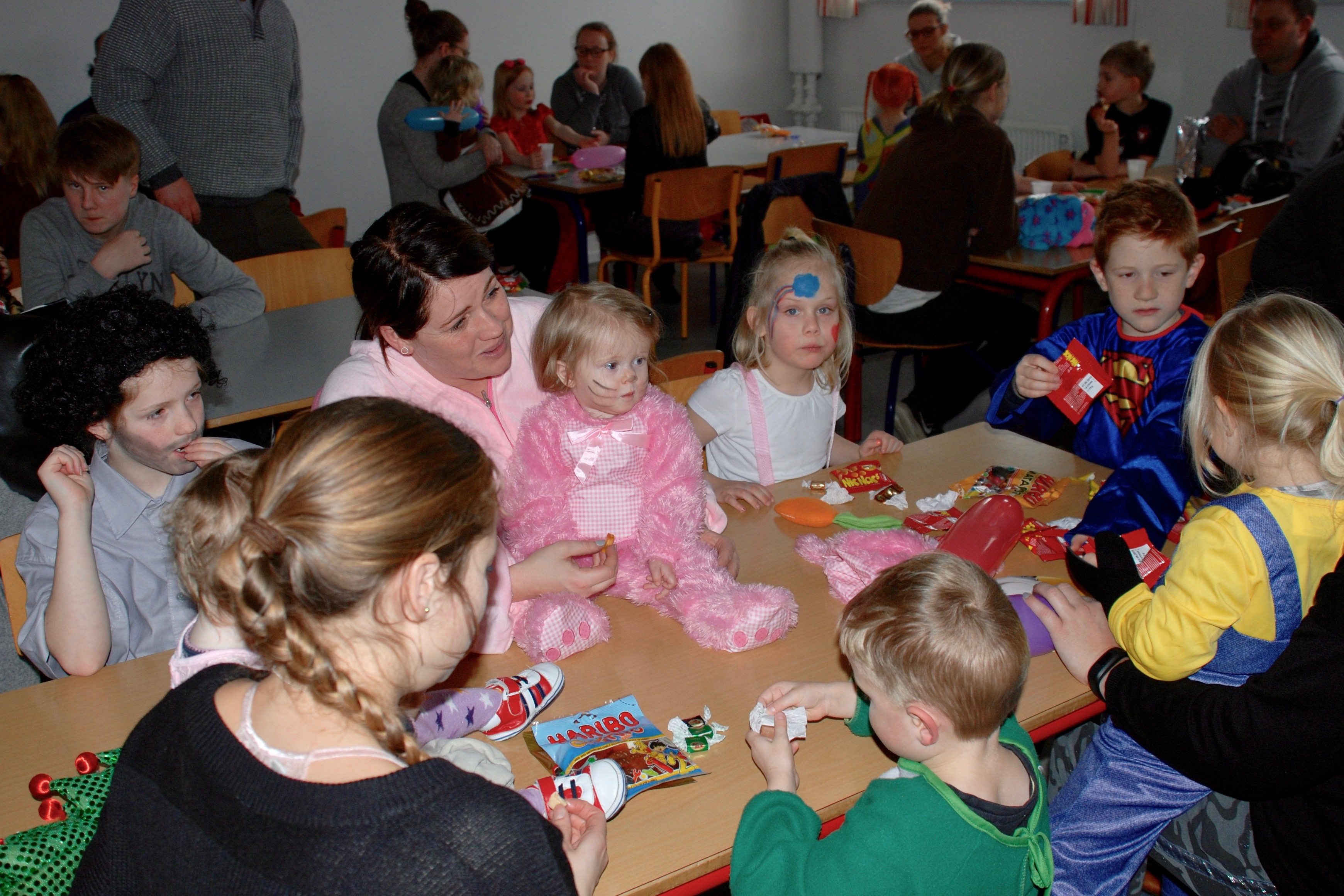 Sådan bliver man kattekonge