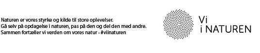 Sponsor eller logo