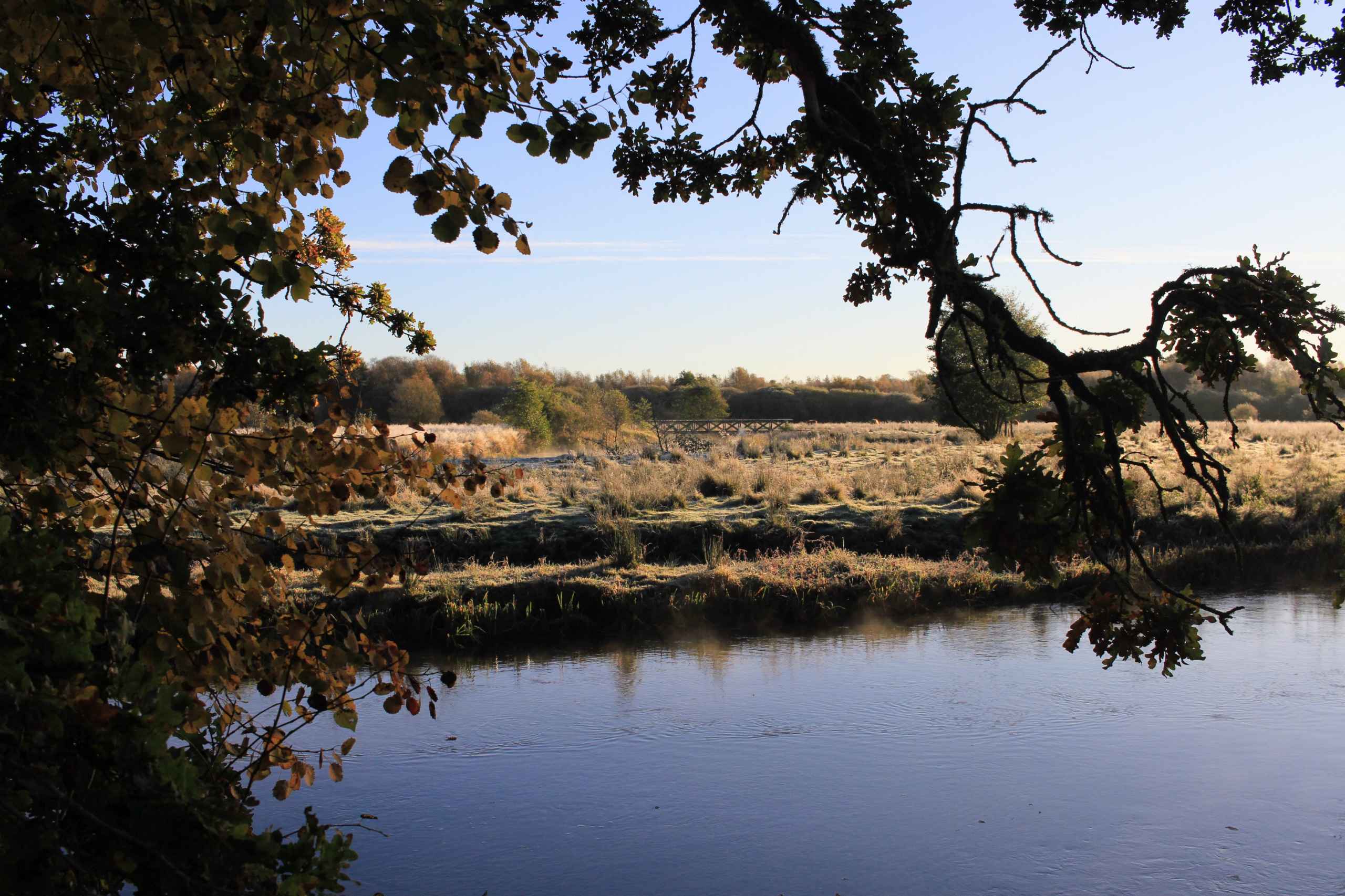 Gratis familiesafari i Nørholm Vildmark