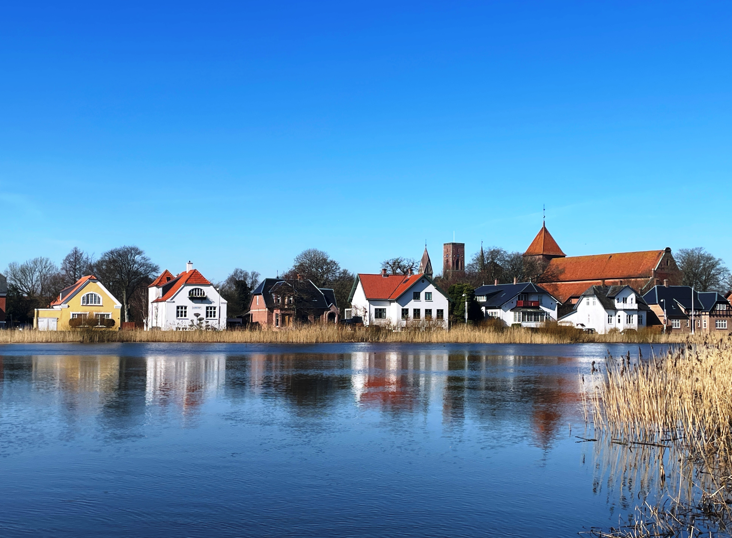 Rundvisning i Ribe 12. juni