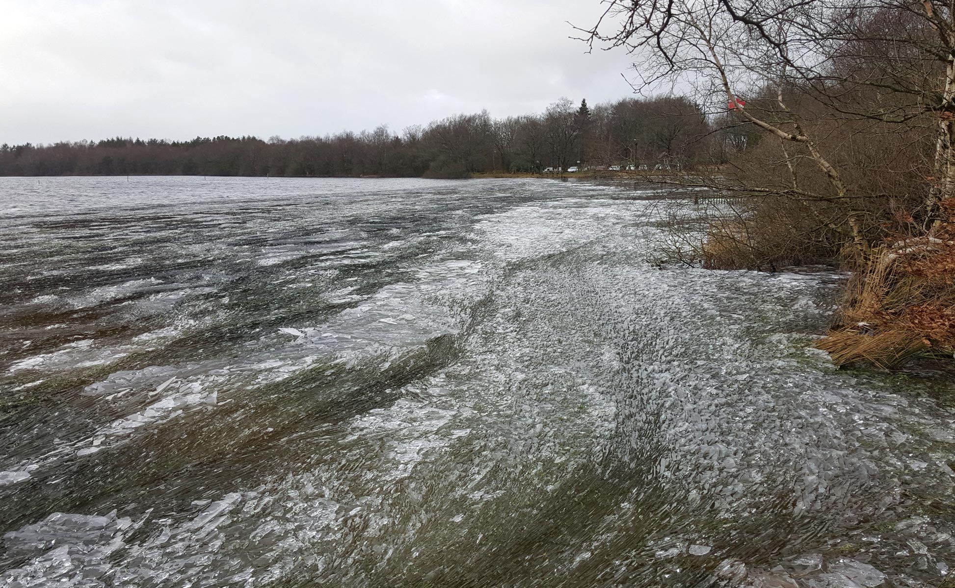 Naturens musik ved Kvie Sø