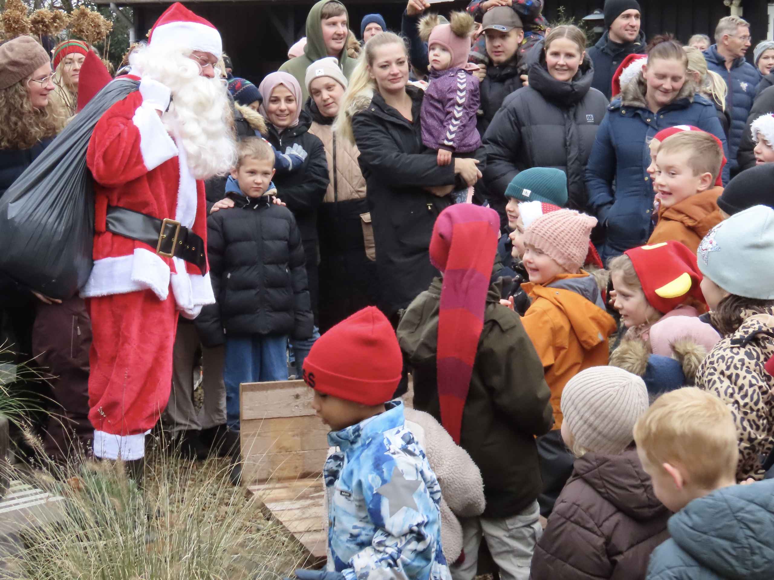 Juletræsfest