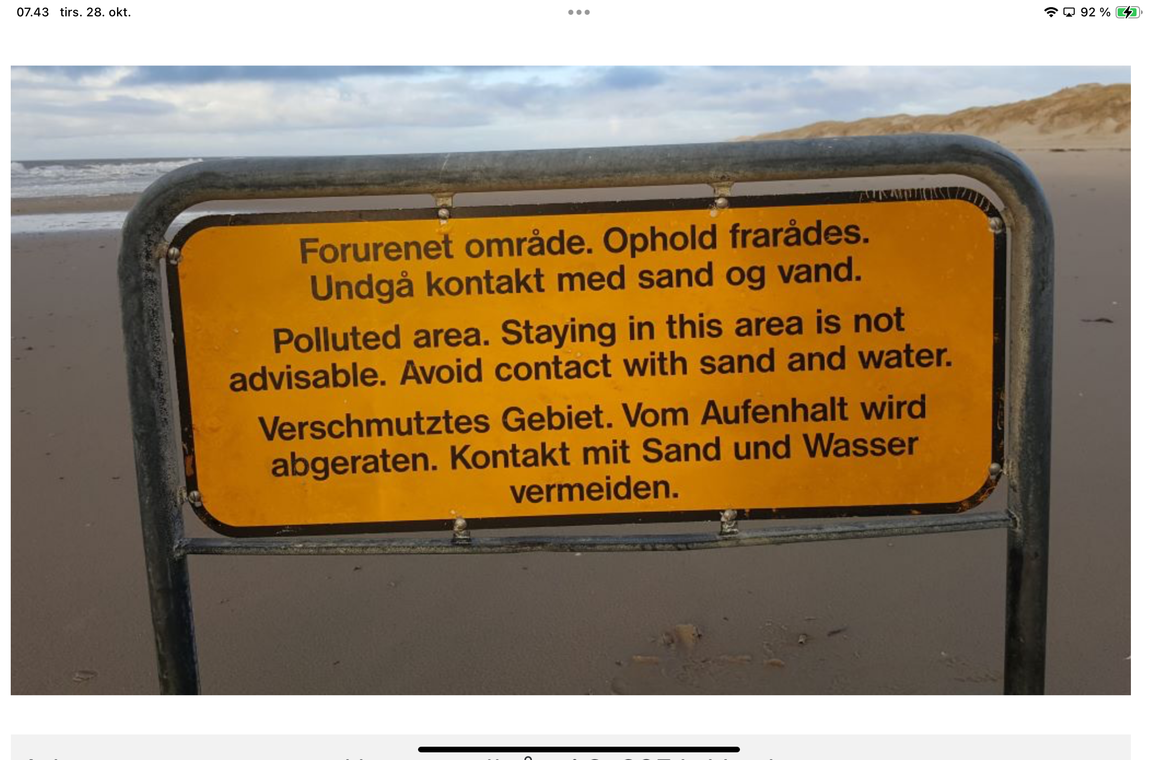 Vandretur i forurenet klitlandskab