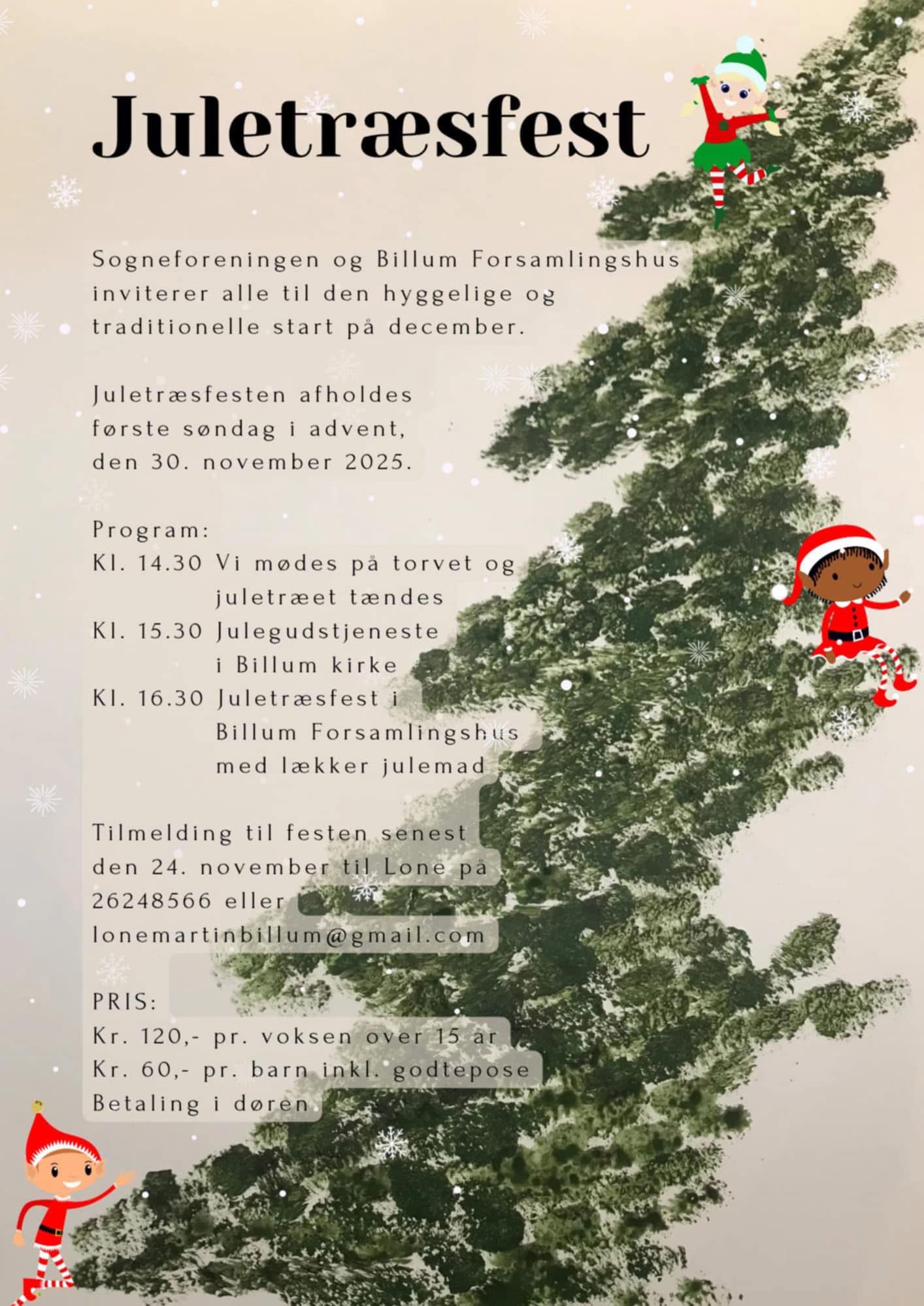 Den årlige Juletræsfest i forsamlingshuset