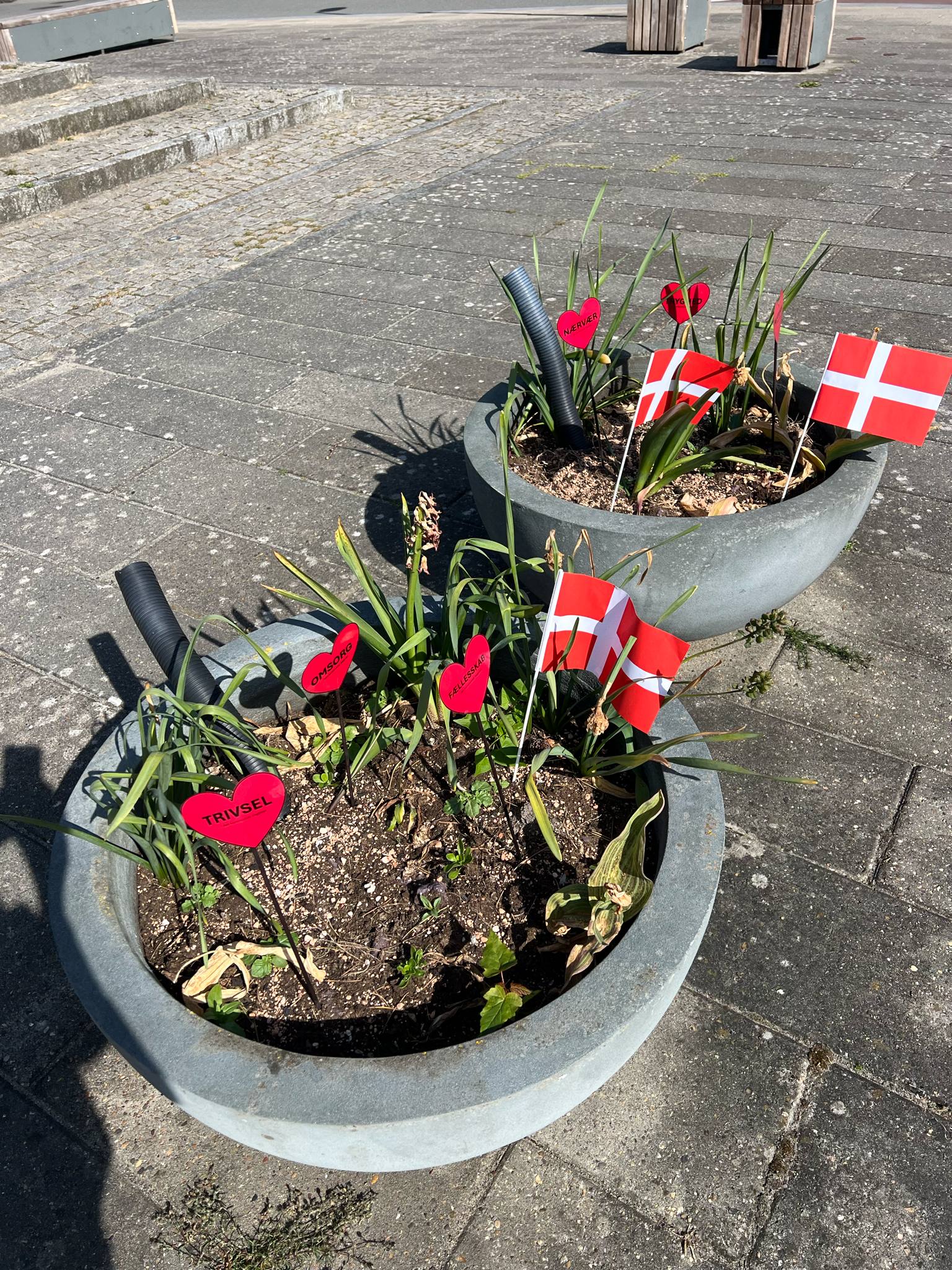 har vi fejret Dagplejernes Dag, som er landsdækkende. Se filmklip og billeder.